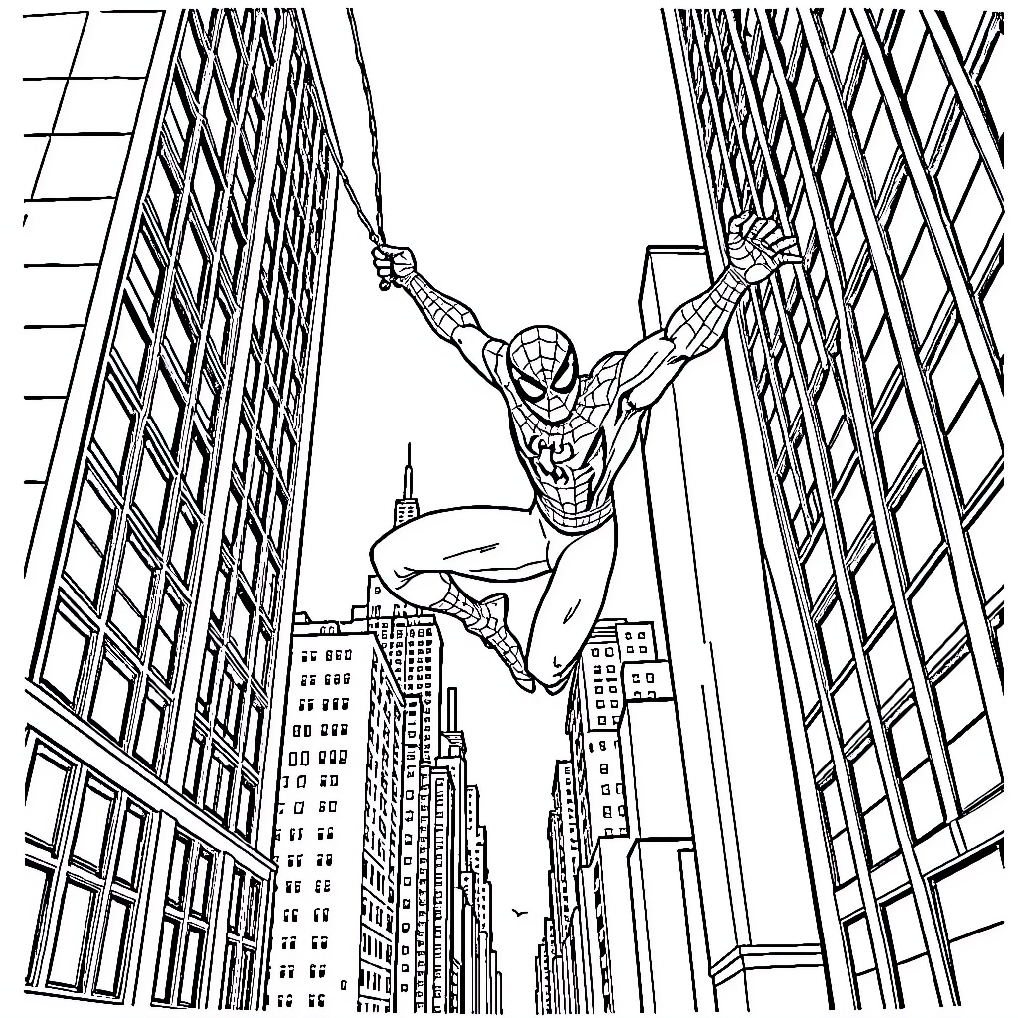 Spiderman swinging between skyscrapers in the city Coloring Page (free black-and-white line drawing printable PDF for all, from beginners to advanced learners, including children, teens, adults, and seniors)