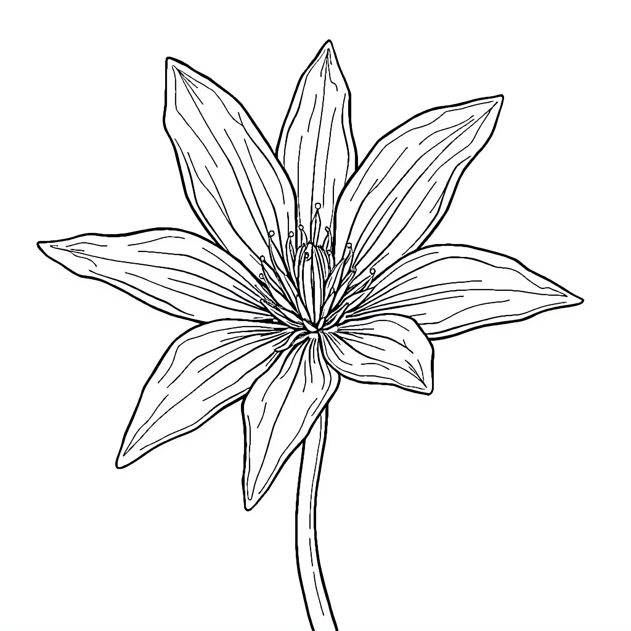 Ice Flower Sketch with Intricate Petals Coloring Page (free black-and-white line drawing printable PDF for all, from beginners to advanced learners, including children, teens, adults, and seniors)