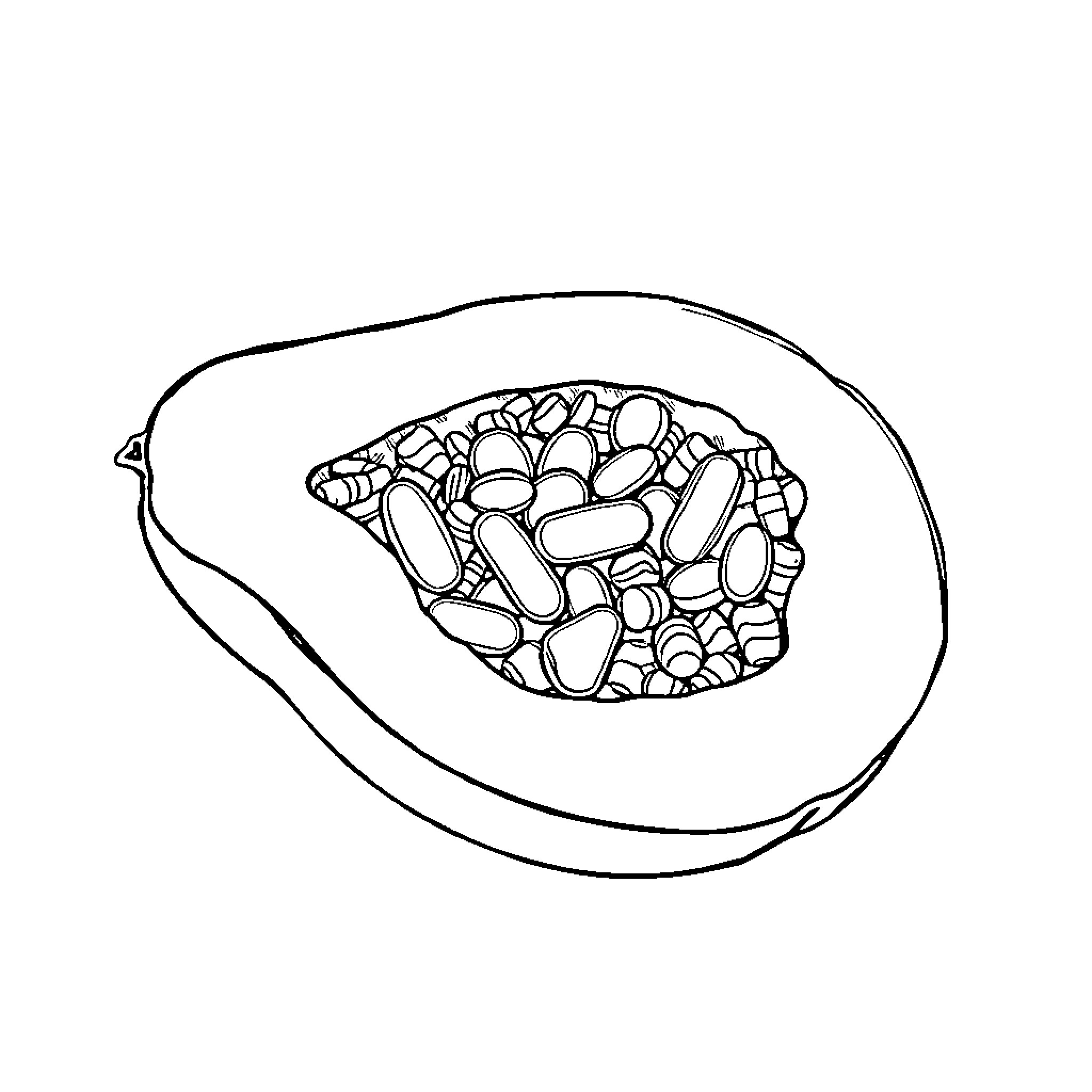 Papaya filled with tasty seeds Coloring Page (free black-and-white line drawing printable PDF for all, from beginners to advanced learners, including children, teens, adults, and seniors)