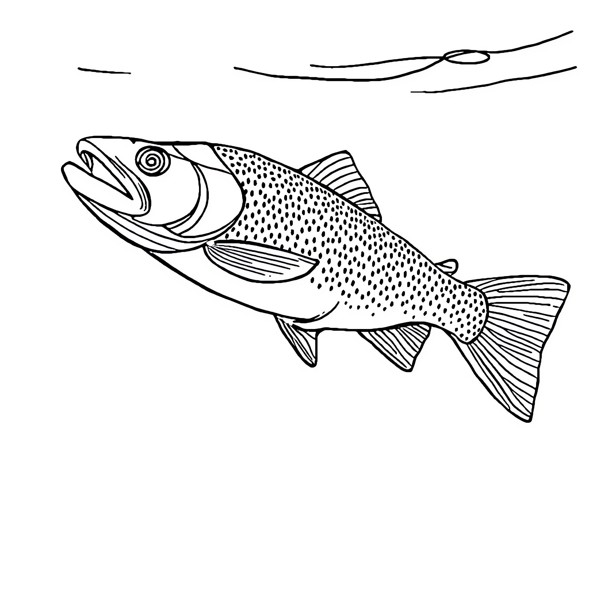 Trout swimming gracefully in the waters Coloring Page (free black-and-white line drawing printable PDF for all, from beginners to advanced learners, including children, teens, adults, and seniors)