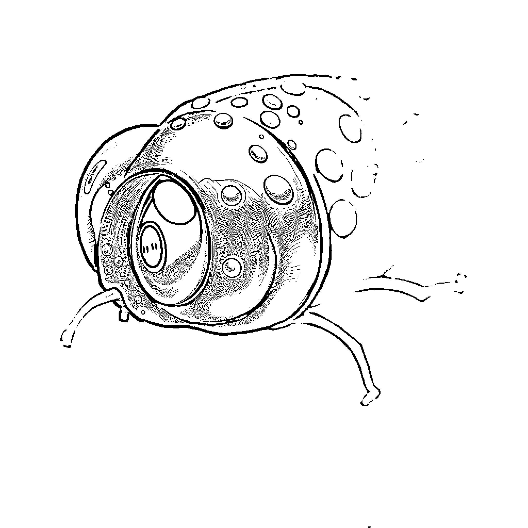 Spawn of the Cosmic Creature Coloring Page (free black-and-white line drawing printable PDF for all, from beginners to advanced learners, including children, teens, adults, and seniors)