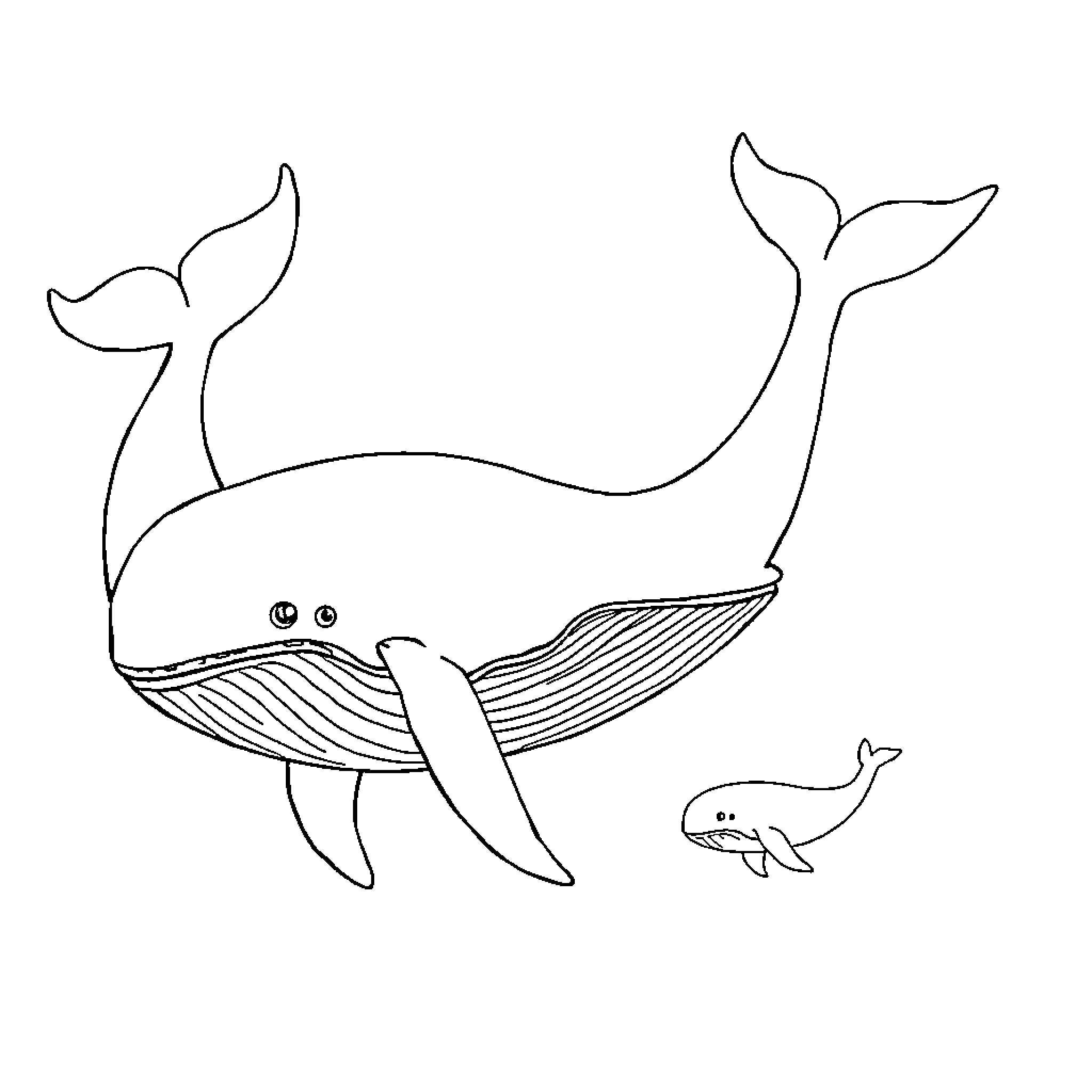 Whale and its baby swimming together Coloring Page (free black-and-white line drawing printable PDF for all, from beginners to advanced learners, including children, teens, adults, and seniors)