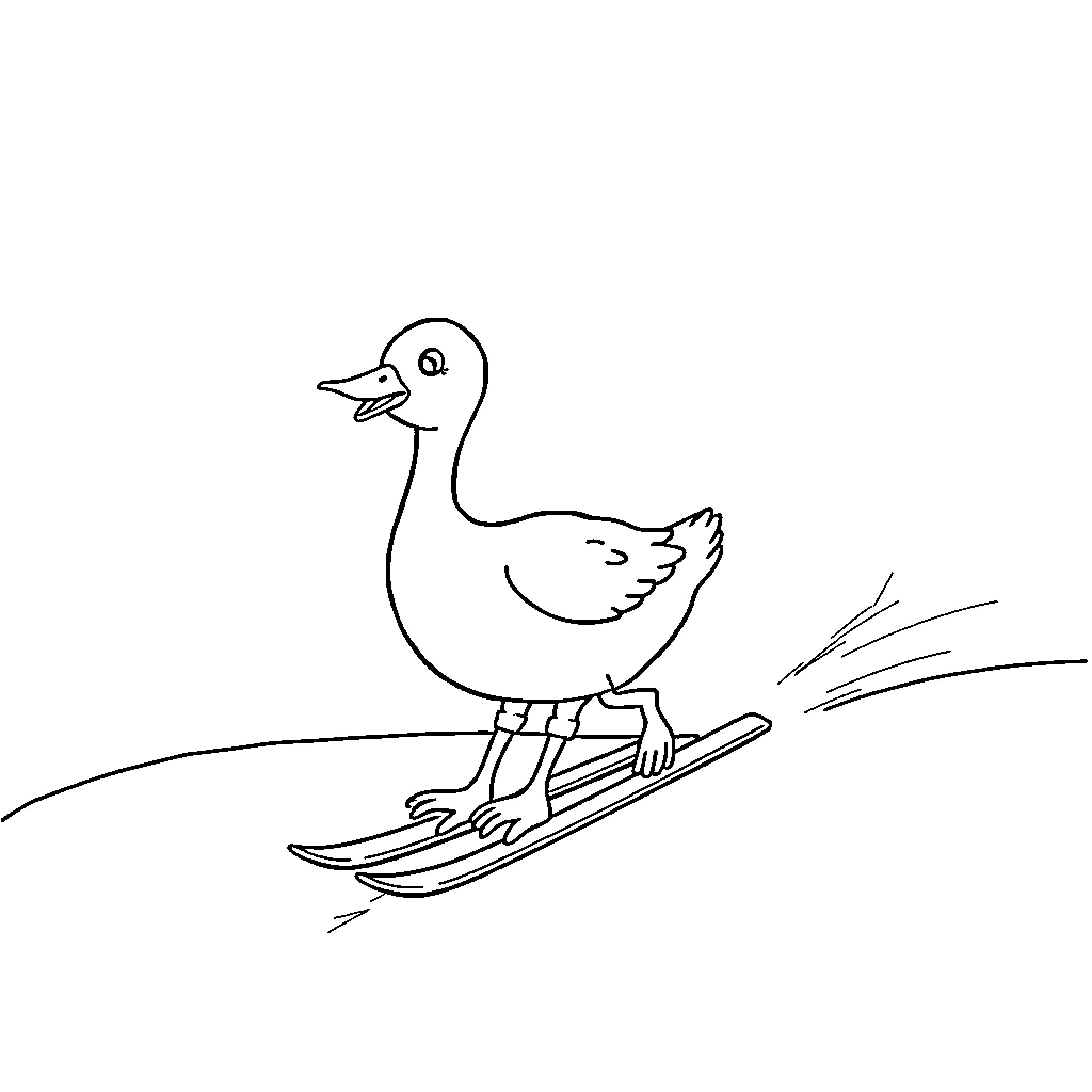 Goose gliding gracefully on skis Coloring Page (free black-and-white line drawing printable PDF for all, from beginners to advanced learners, including children, teens, adults, and seniors)
