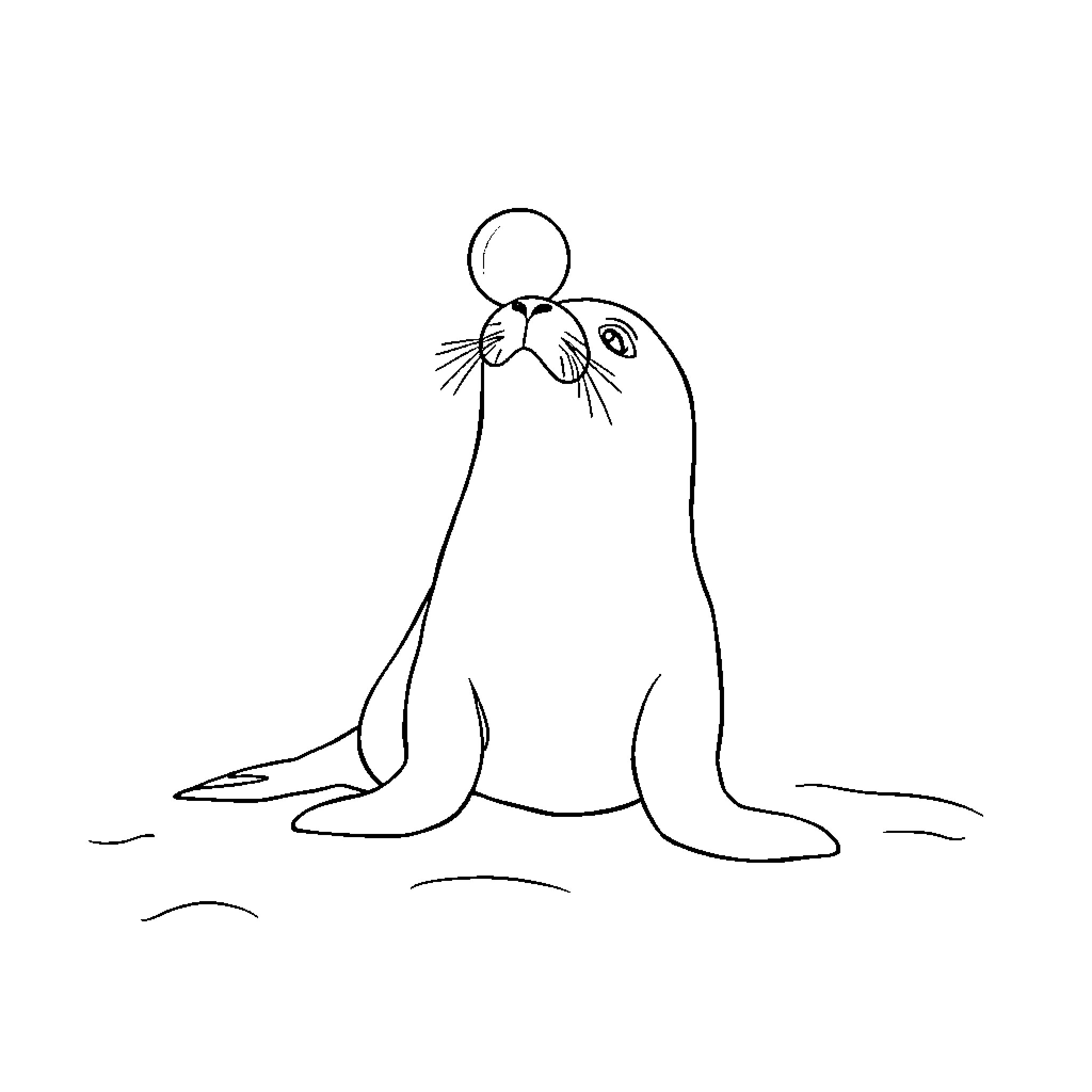 Seal resting on ice floe Coloring Page (free black-and-white line drawing printable PDF for all, from beginners to advanced learners, including children, teens, adults, and seniors)