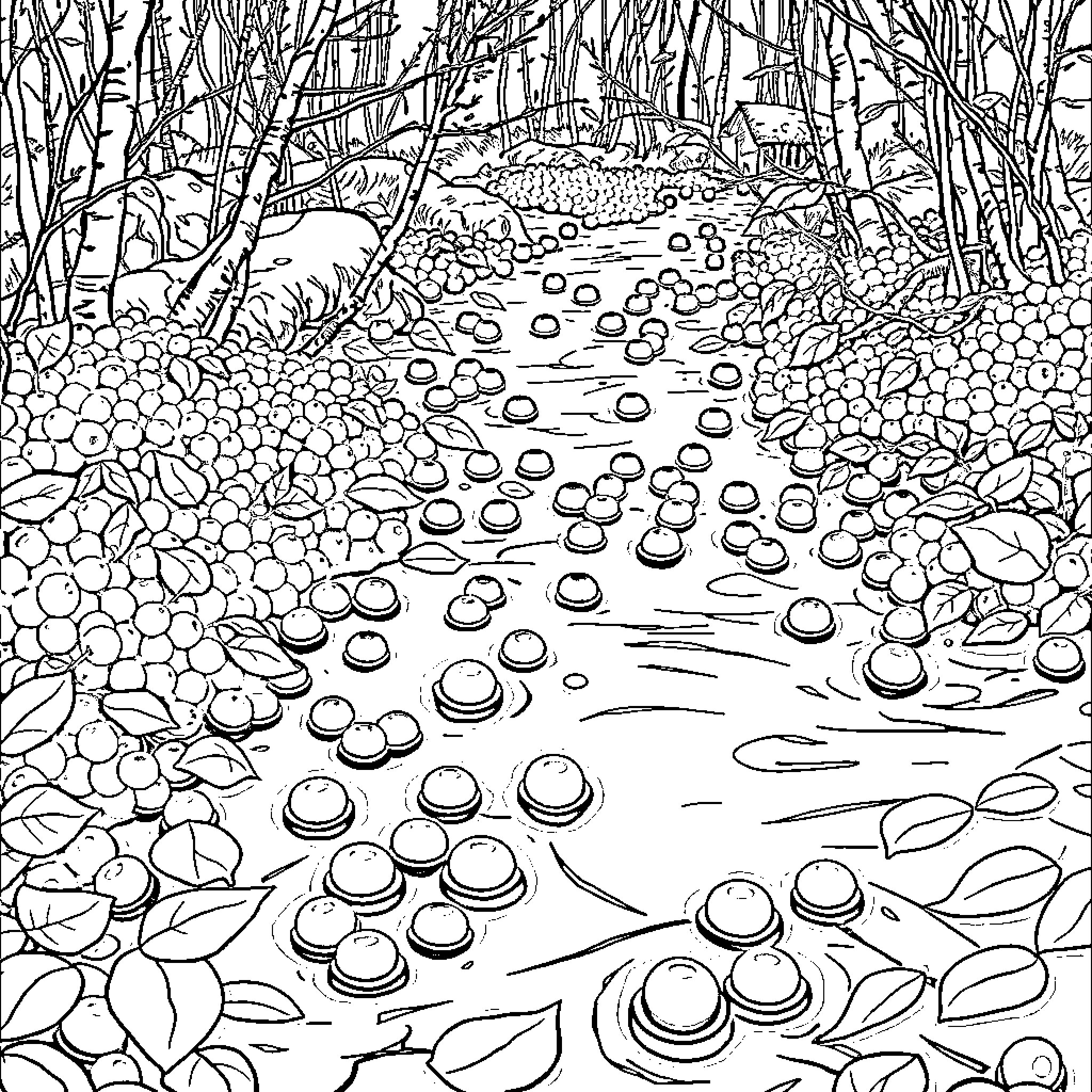 Cranberry Forest Trail with Bubbles Coloring Page (free black-and-white line drawing printable PDF for all, from beginners to advanced learners, including children, teens, adults, and seniors)