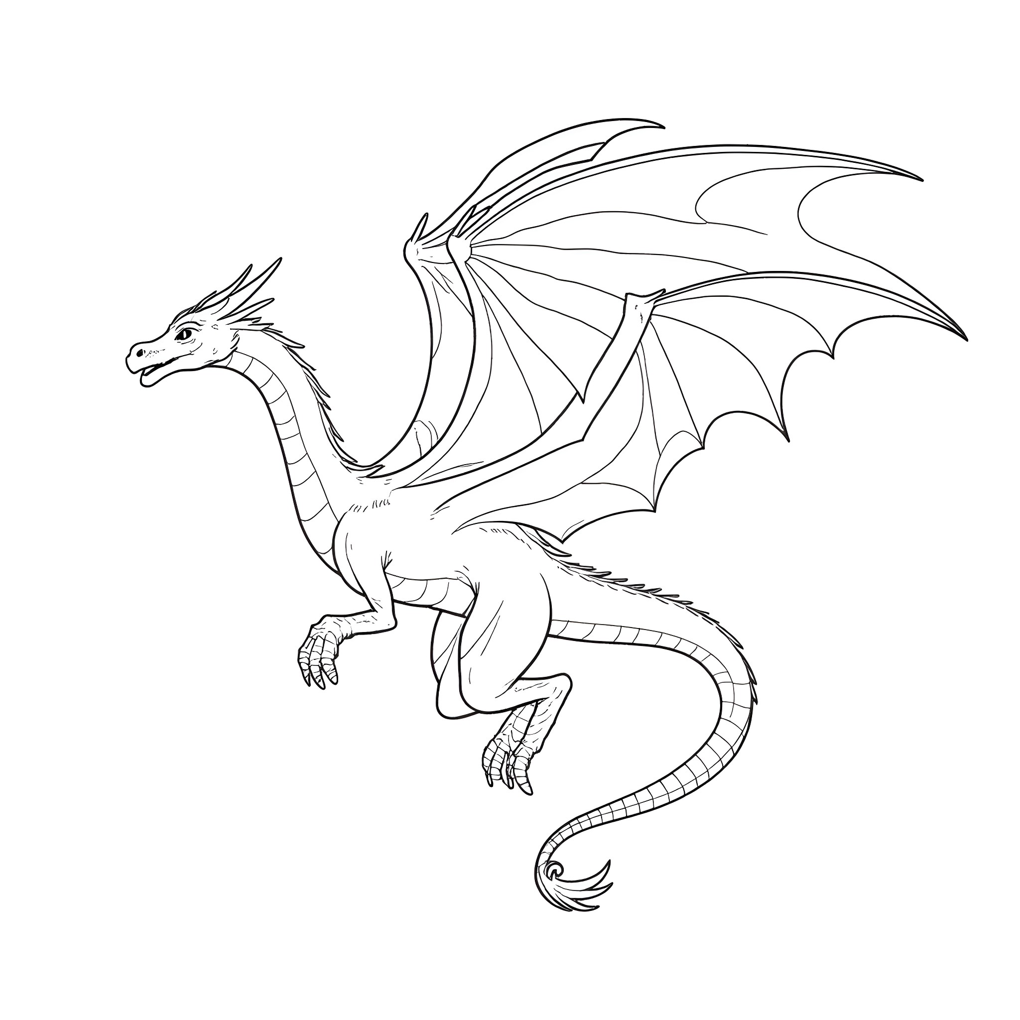Dragon in mid-flight pose with outstretched wings Coloring Page (free black-and-white line drawing printable PDF for all, from beginners to advanced learners, including children, teens, adults, and seniors)