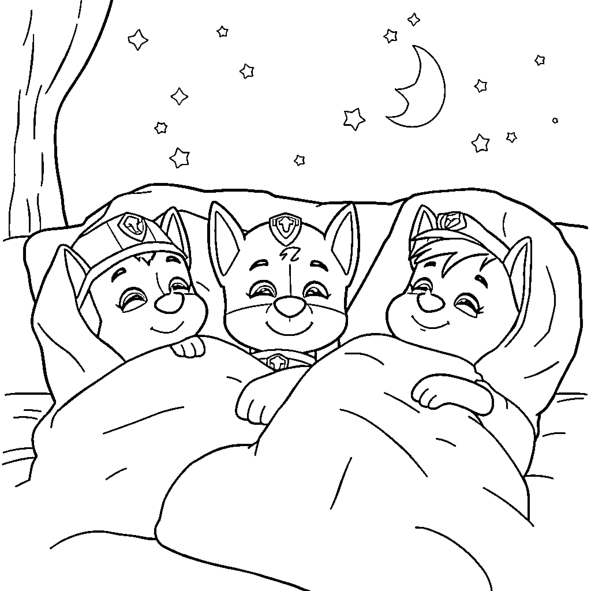 Paw Patrol puppies sleeping under the stars Coloring Page (free black-and-white line drawing printable PDF for all, from beginners to advanced learners, including children, teens, adults, and seniors)
