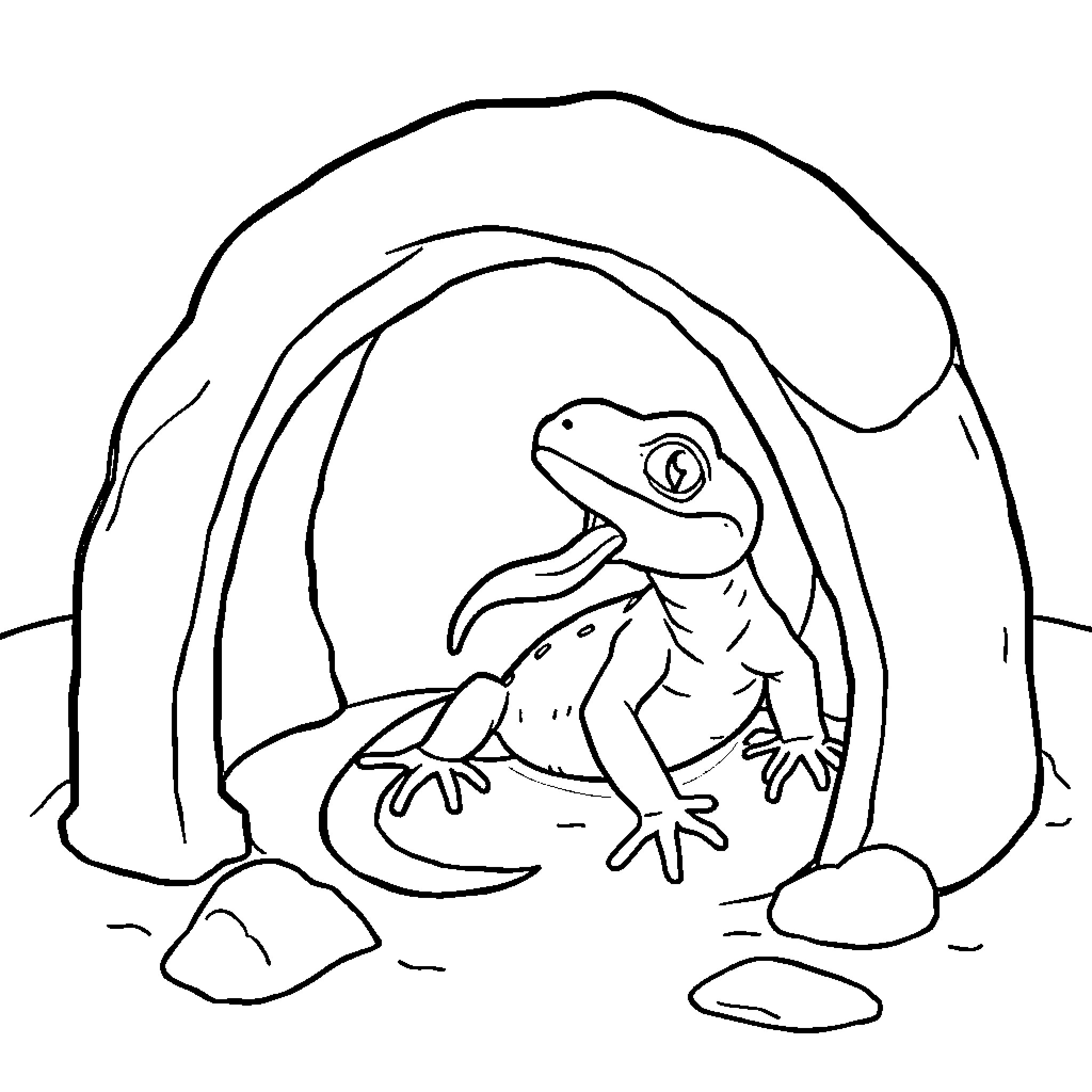 Gecko exploring its rocky habitat Coloring Page (free black-and-white line drawing printable PDF for all, from beginners to advanced learners, including children, teens, adults, and seniors)