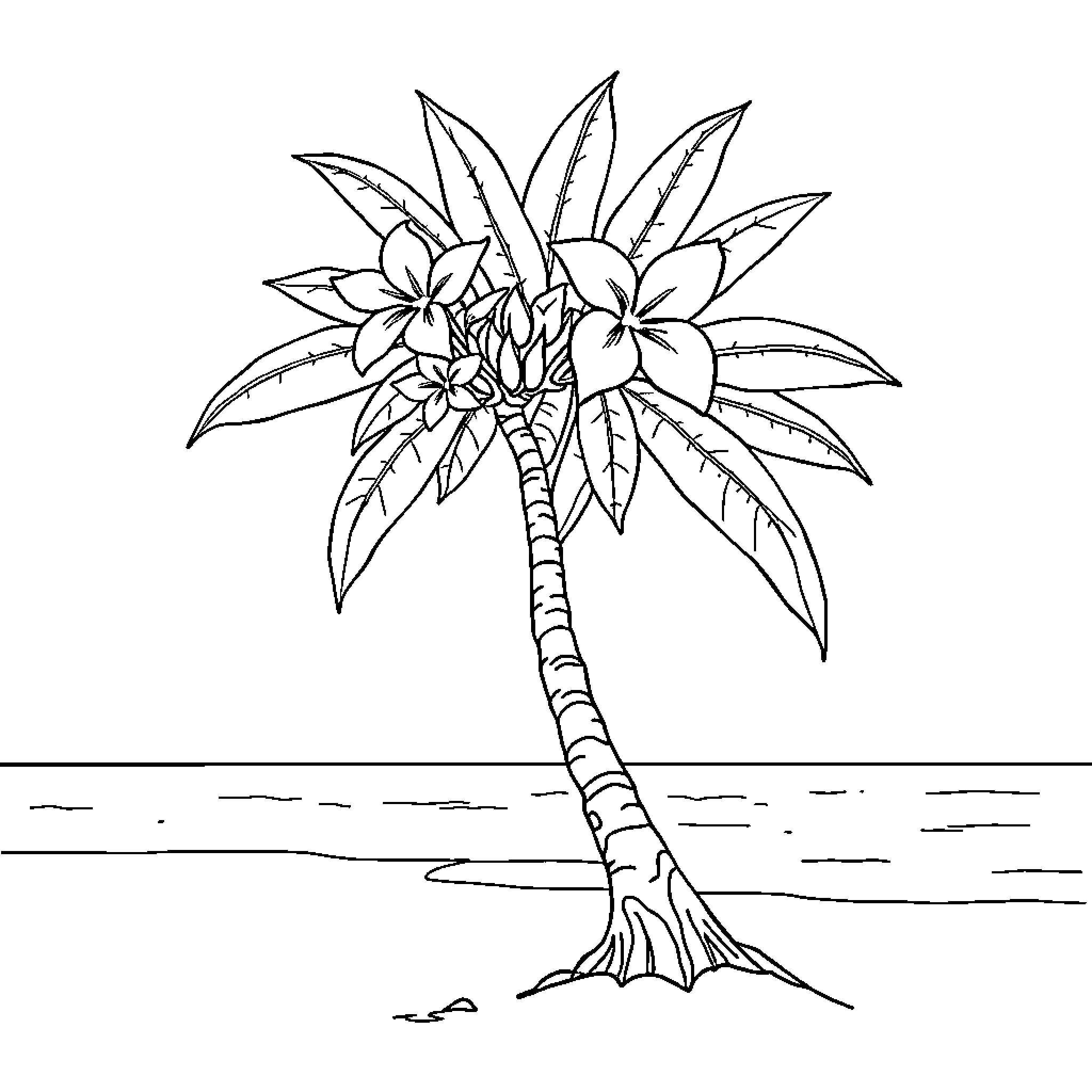 Plumeria tree with tropical flowers on the beach Coloring Page (free black-and-white line drawing printable PDF for all, from beginners to advanced learners, including children, teens, adults, and seniors)