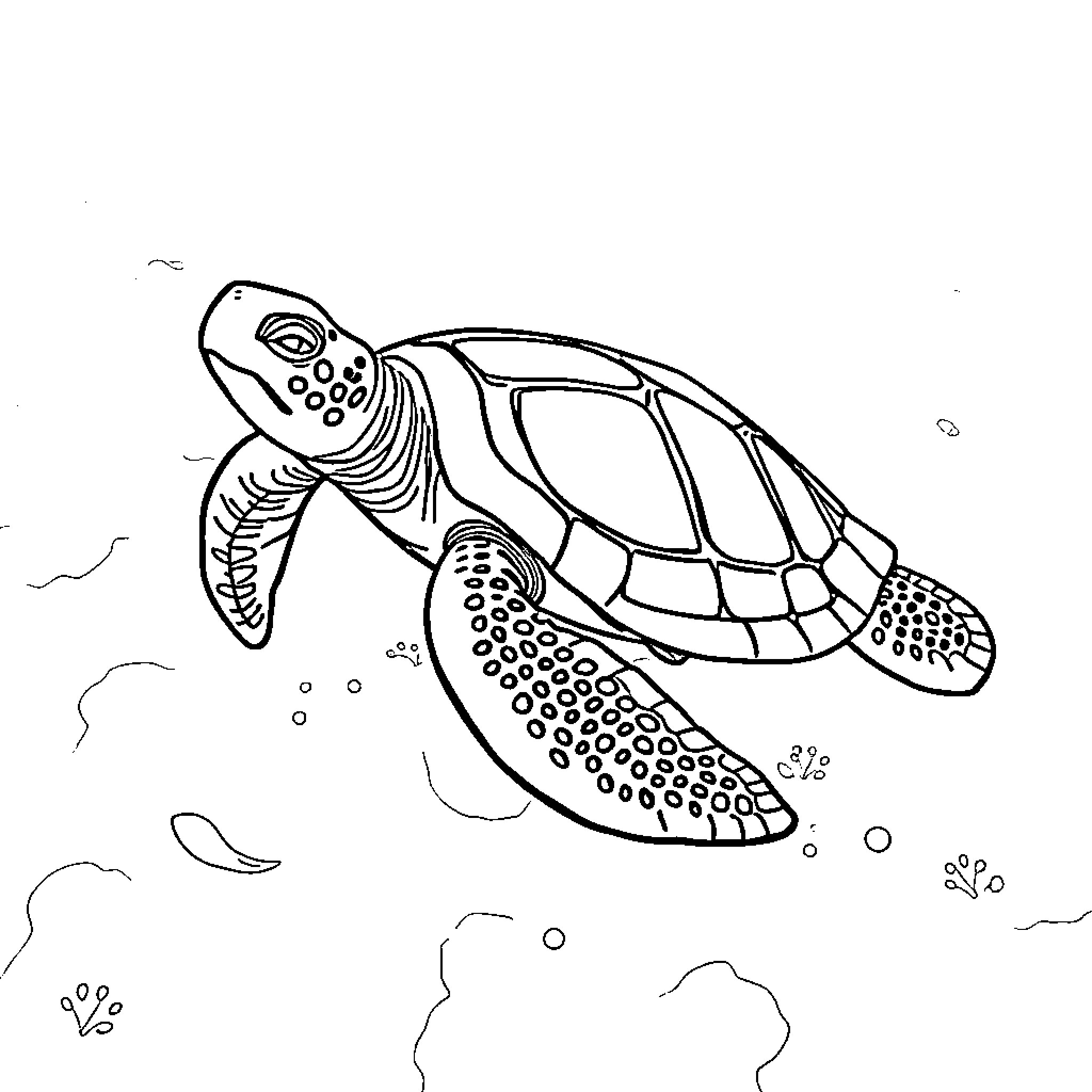 Turtle swimming gracefully in the ocean Coloring Page (free black-and-white line drawing printable PDF for all, from beginners to advanced learners, including children, teens, adults, and seniors)