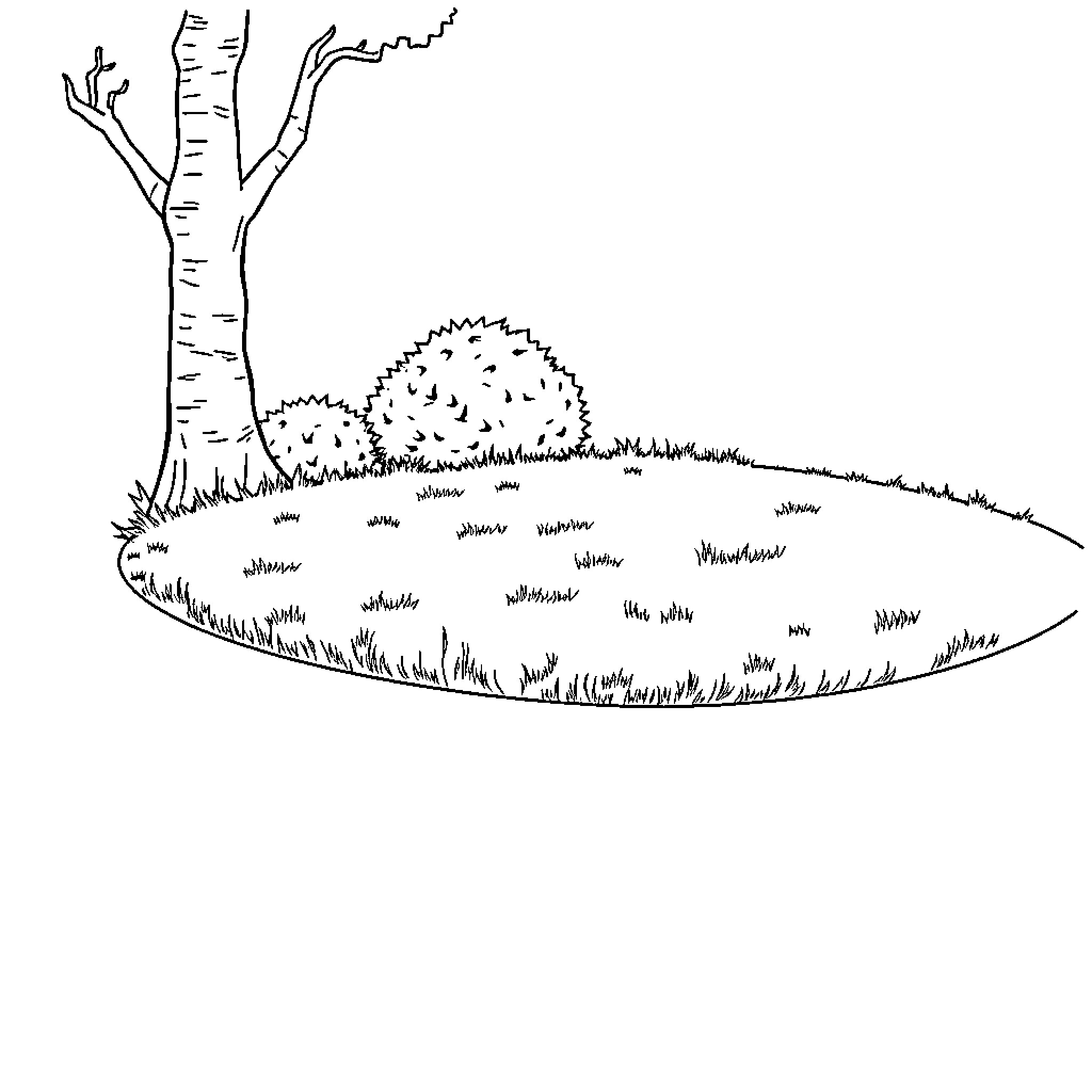 Cat resting under a tree Coloring Page (free black-and-white line drawing printable PDF for all, from beginners to advanced learners, including children, teens, adults, and seniors)