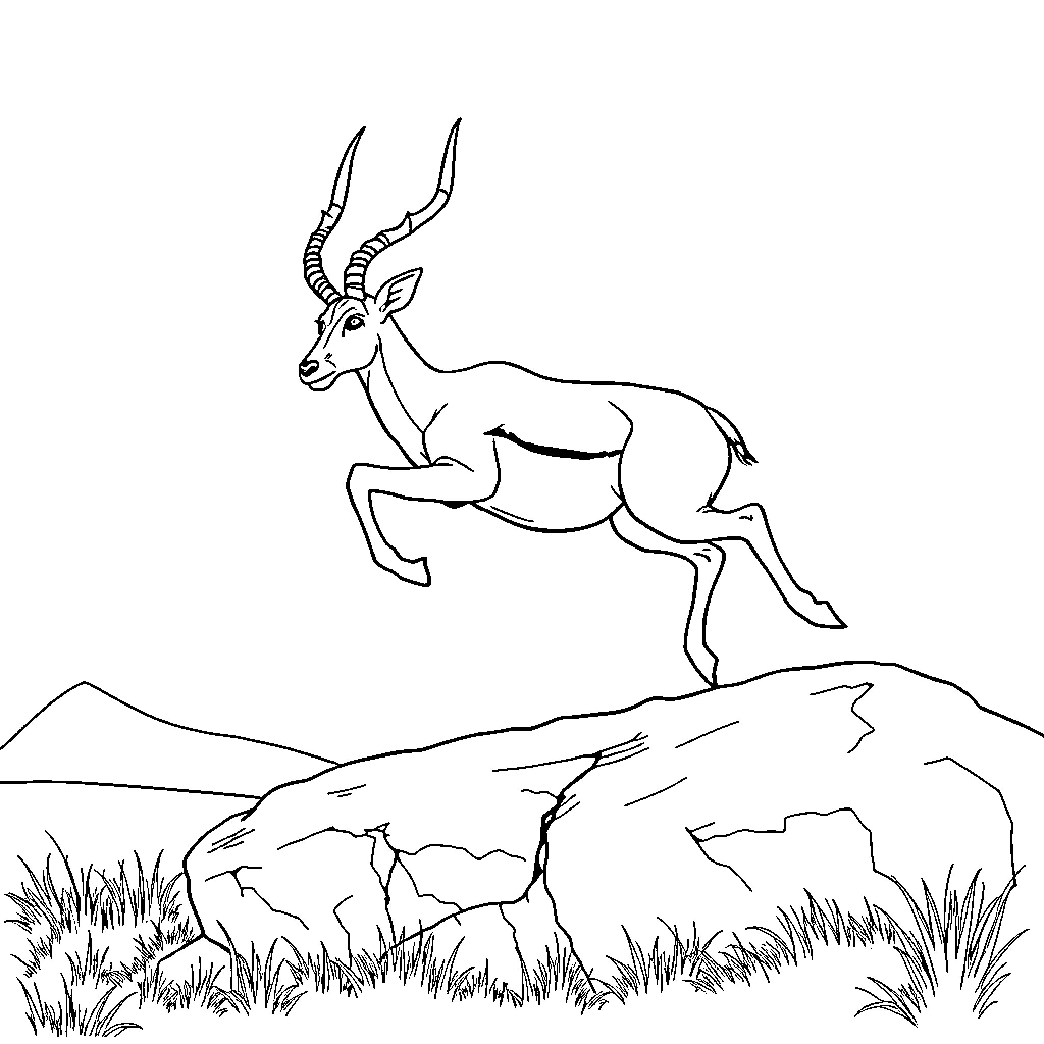 Antelope leaping gracefully on rocky terrain Coloring Page (free black-and-white line drawing printable PDF for all, from beginners to advanced learners, including children, teens, adults, and seniors)