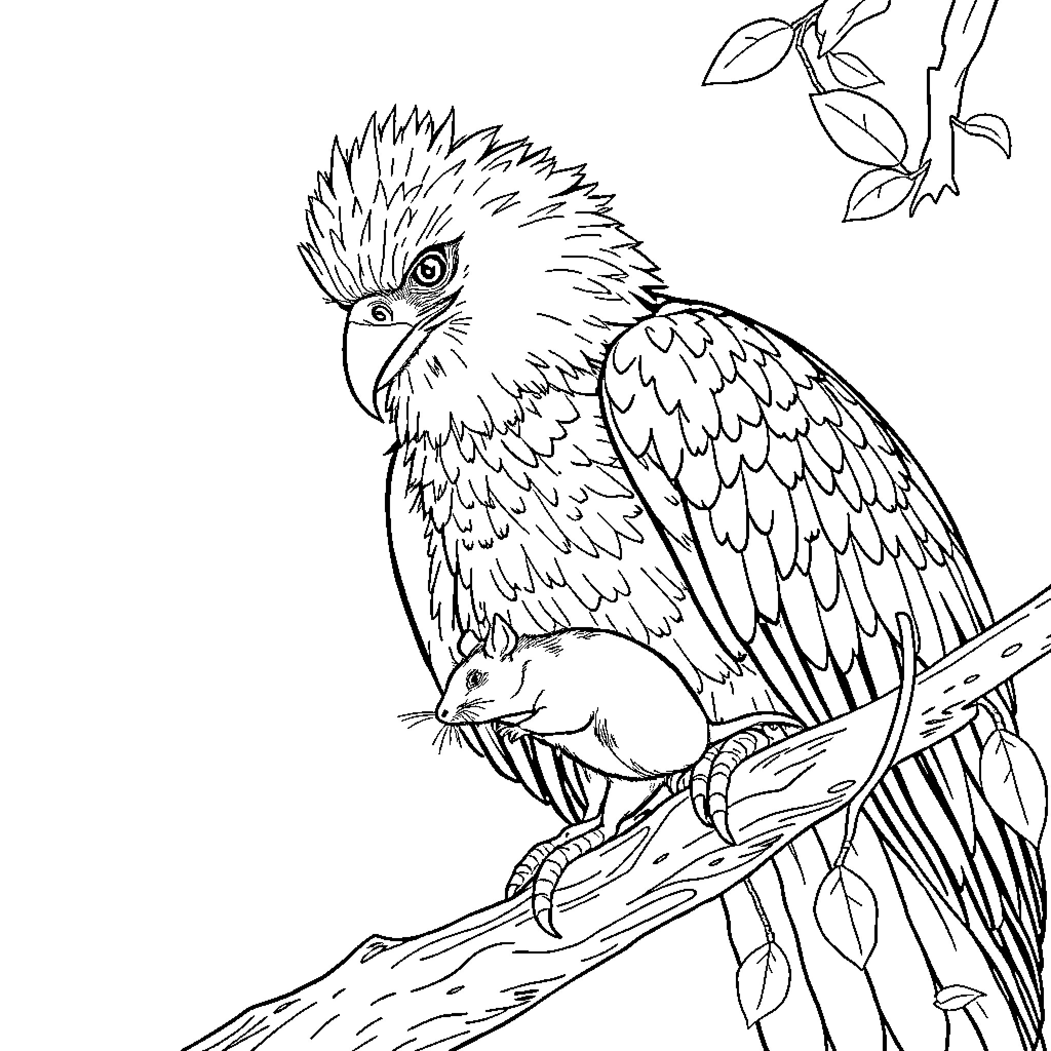 Aigle perched majestically on branch Coloring Page (free black-and-white line drawing printable PDF for all, from beginners to advanced learners, including children, teens, adults, and seniors)