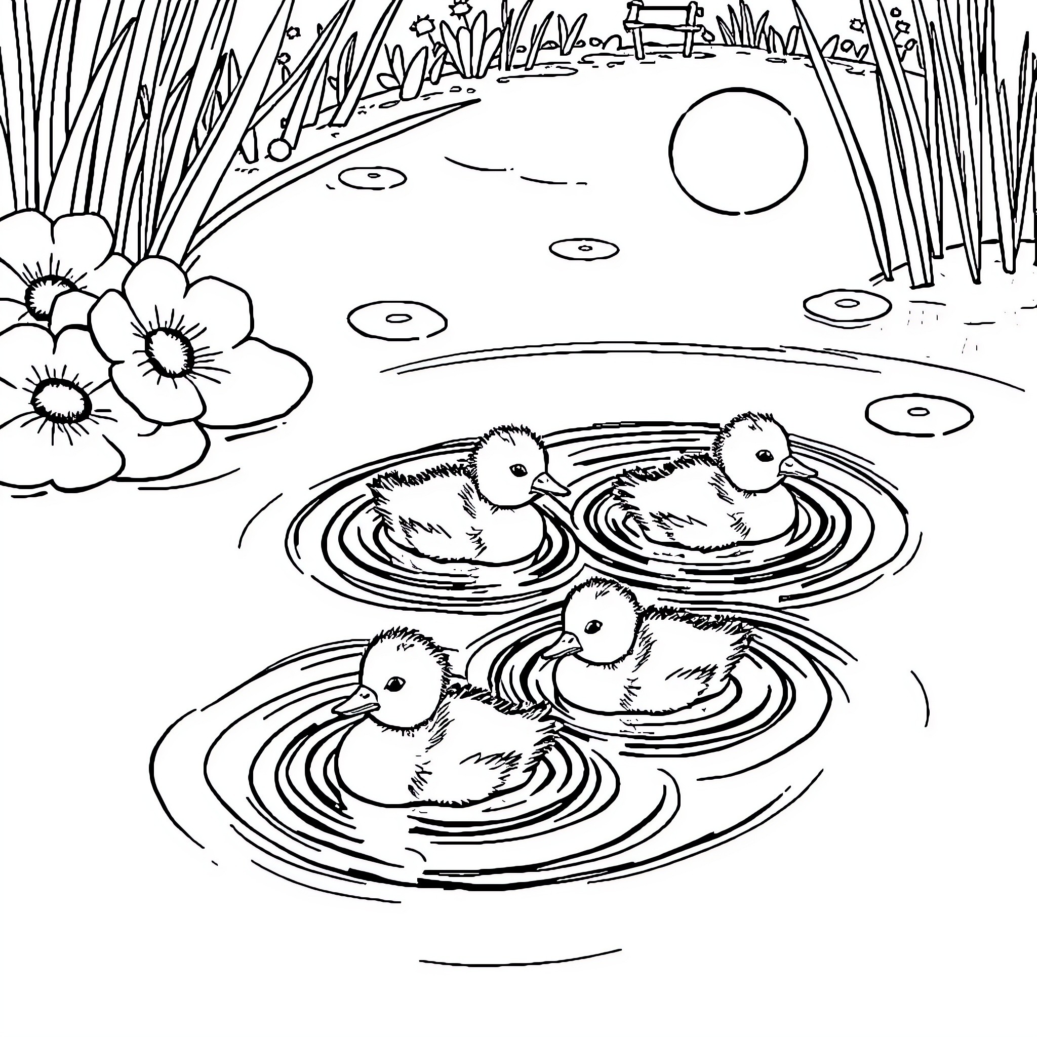 Ducklings swimming in a pond Coloring Page (free black-and-white line drawing printable PDF for all, from beginners to advanced learners, including children, teens, adults, and seniors)