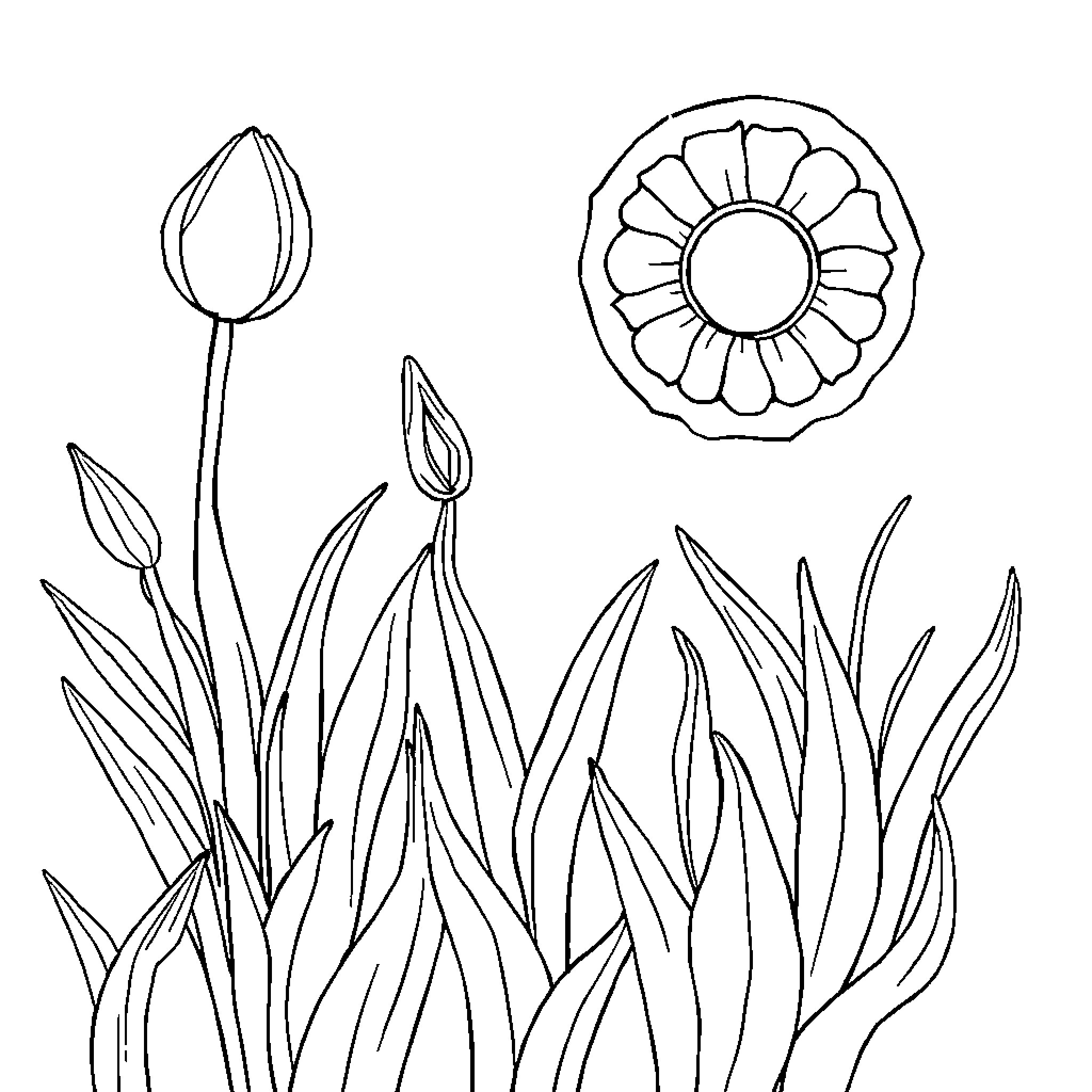 Line art of blooming flowers and plants Coloring Page (free black-and-white line drawing printable PDF for all, from beginners to advanced learners, including children, teens, adults, and seniors)