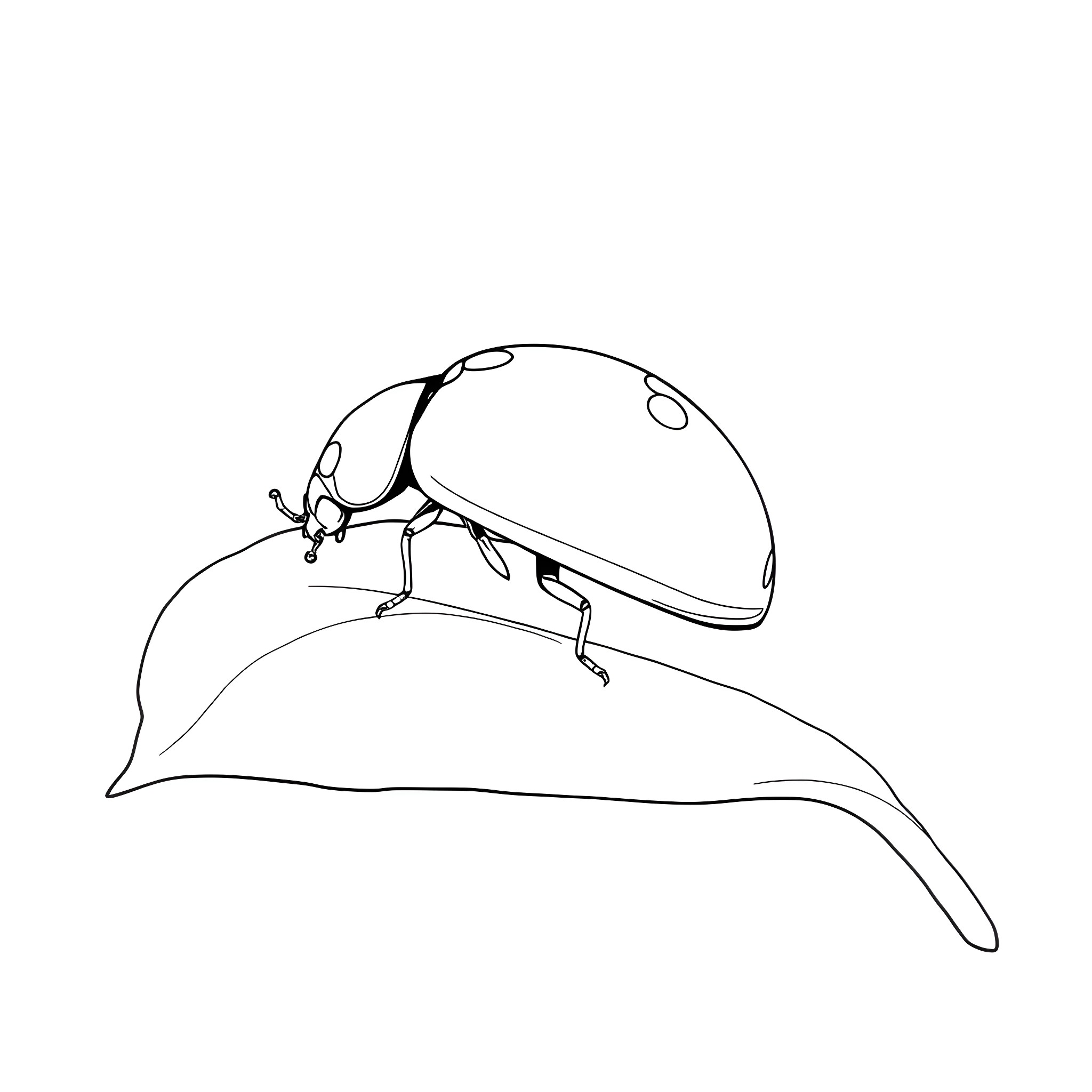 Ladybug resting on a leaf Coloring Page (free black-and-white line drawing printable PDF for all, from beginners to advanced learners, including children, teens, adults, and seniors)