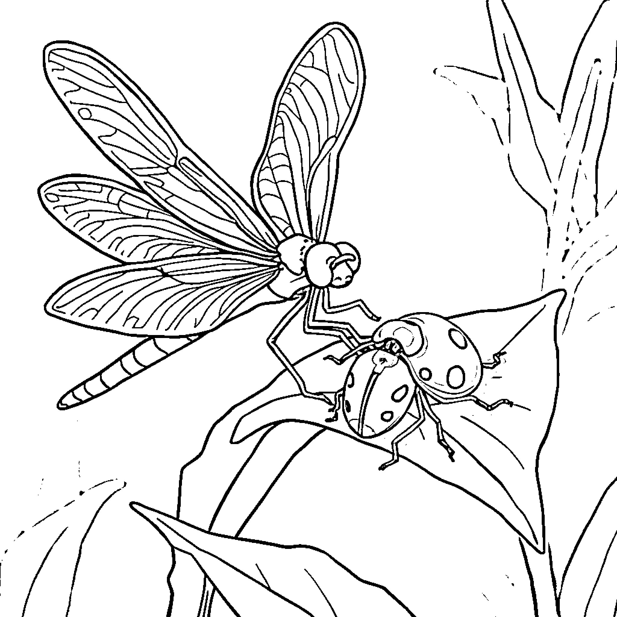 Dragonfly exploring the natural world Coloring Page (free black-and-white line drawing printable PDF for all, from beginners to advanced learners, including children, teens, adults, and seniors)
