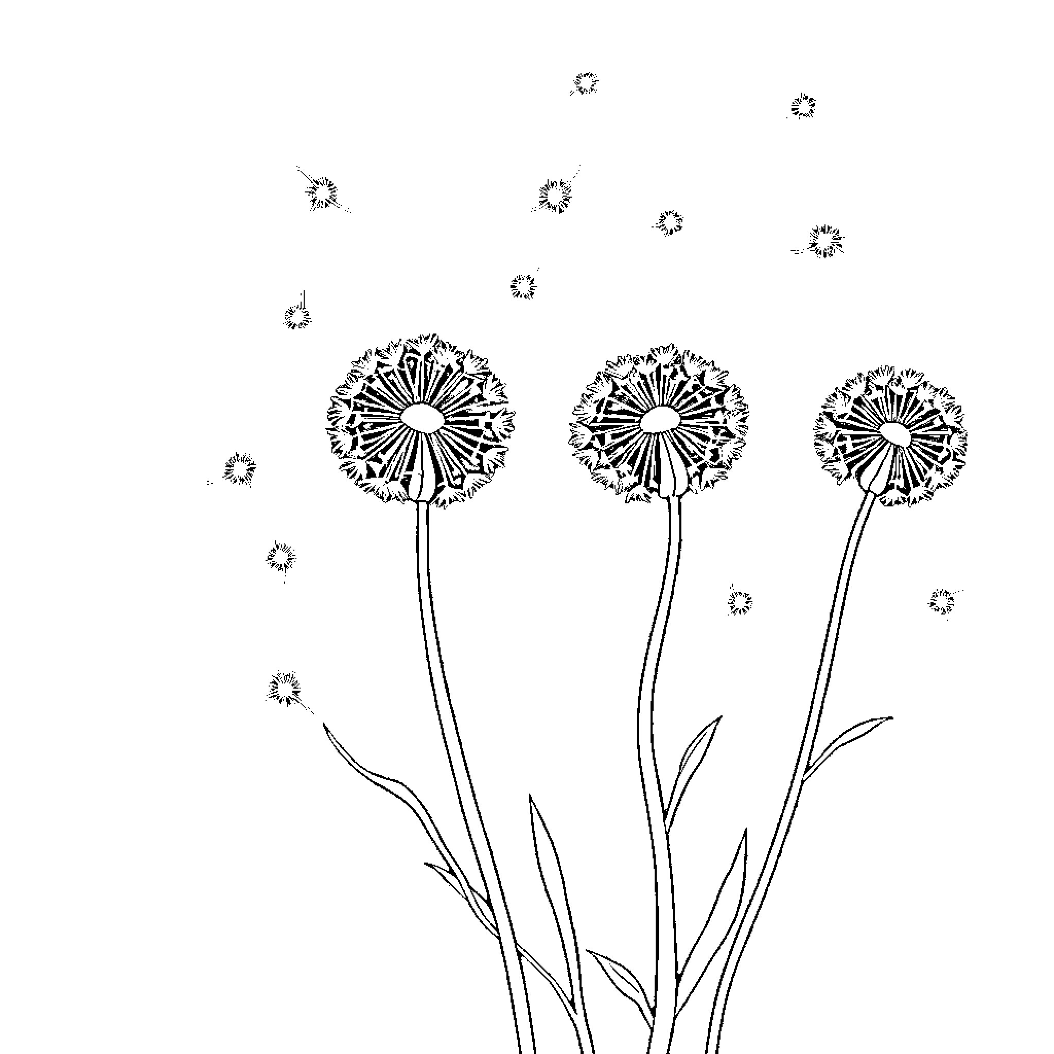 Dandelion flowers blowing in the wind Coloring Page (free black-and-white line drawing printable PDF for all, from beginners to advanced learners, including children, teens, adults, and seniors)