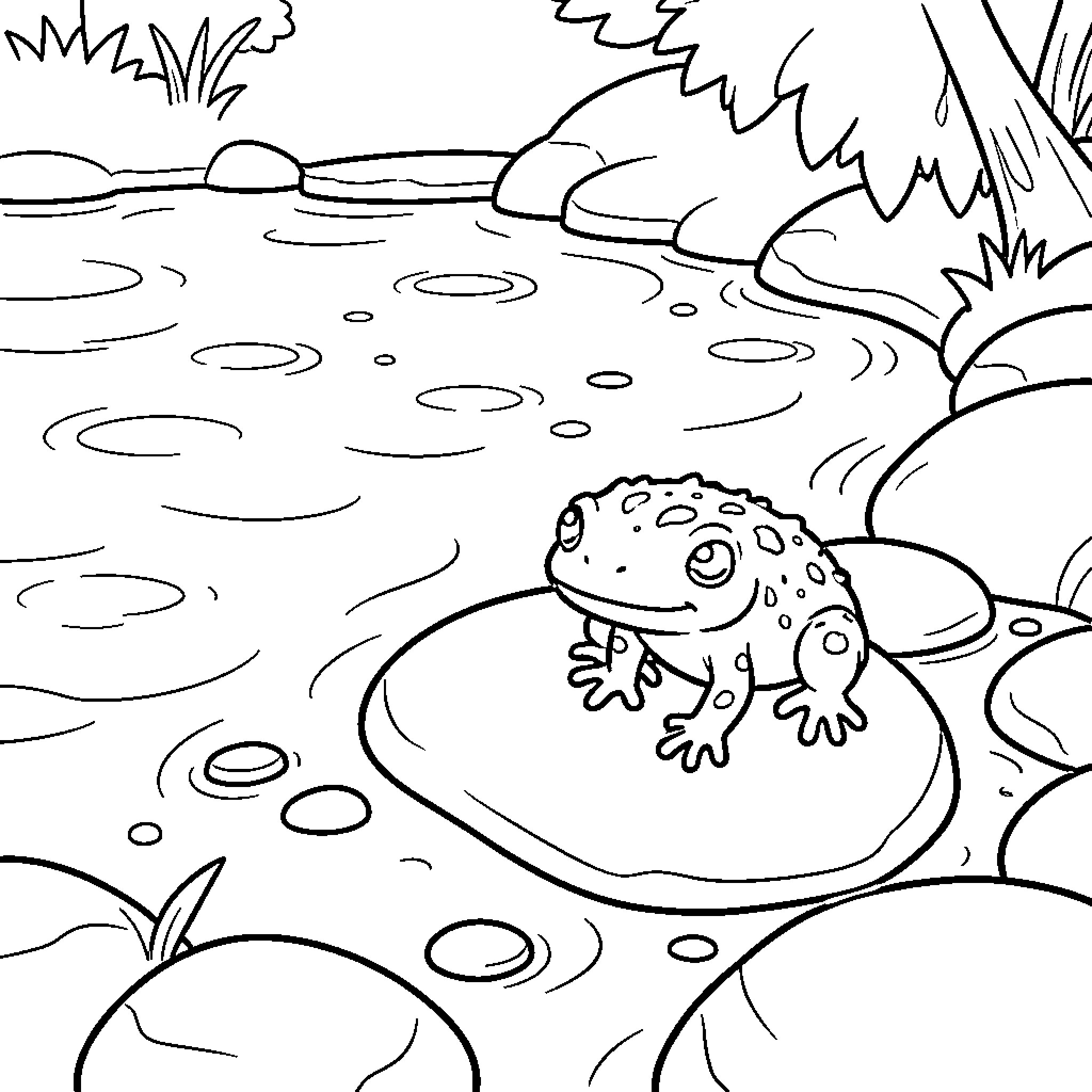 Newt relaxing in a pond with lily pads Coloring Page (free black-and-white line drawing printable PDF for all, from beginners to advanced learners, including children, teens, adults, and seniors)