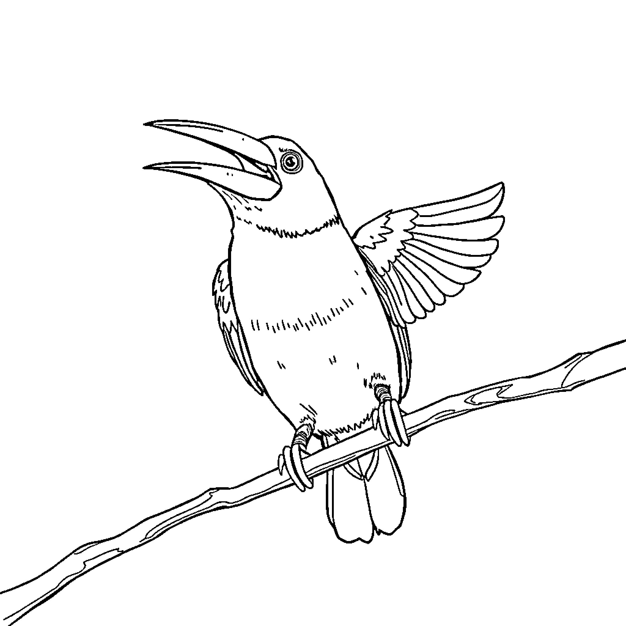 Canary bird perched on a branch Coloring Page (free black-and-white line drawing printable PDF for all, from beginners to advanced learners, including children, teens, adults, and seniors)