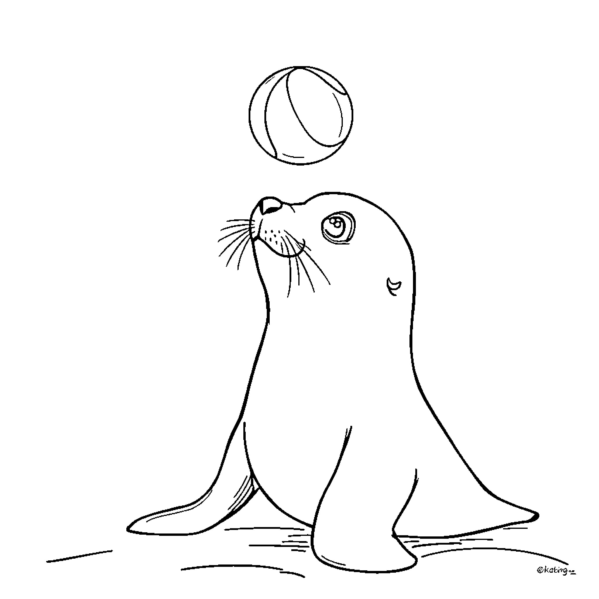 Seal playing with beach ball Coloring Page (free black-and-white line drawing printable PDF for all, from beginners to advanced learners, including children, teens, adults, and seniors)