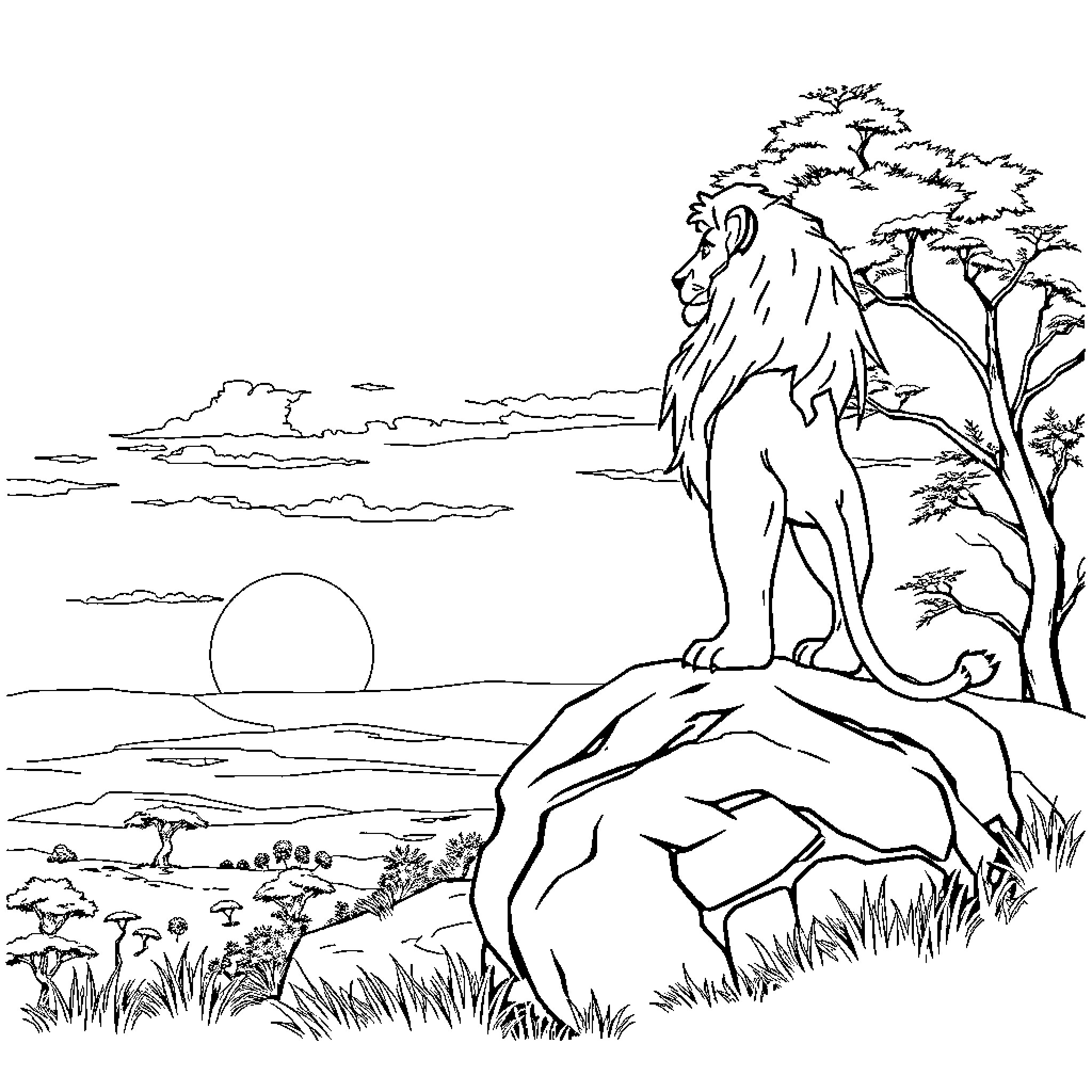 Lion roaring on a rocky outcrop at sunset Coloring Page (free black-and-white line drawing printable PDF for all, from beginners to advanced learners, including children, teens, adults, and seniors)