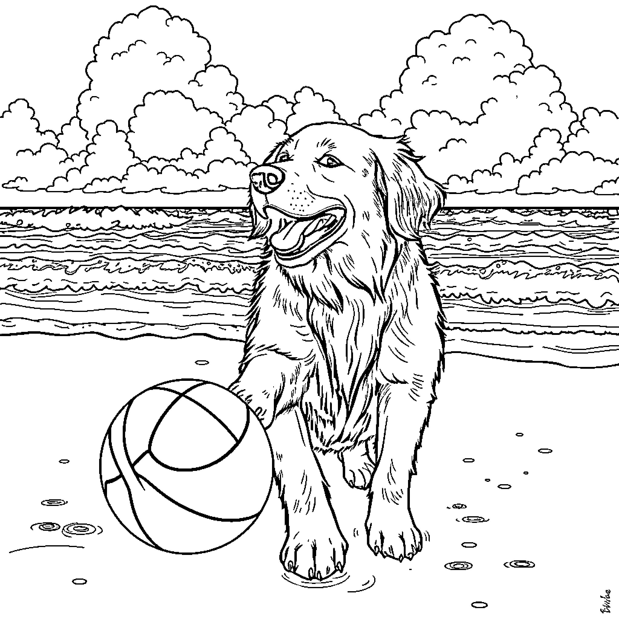 Golden Retriever playing happily with beach ball on the shore Coloring Page (free black-and-white line drawing printable PDF for all, from beginners to advanced learners, including children, teens, adults, and seniors)