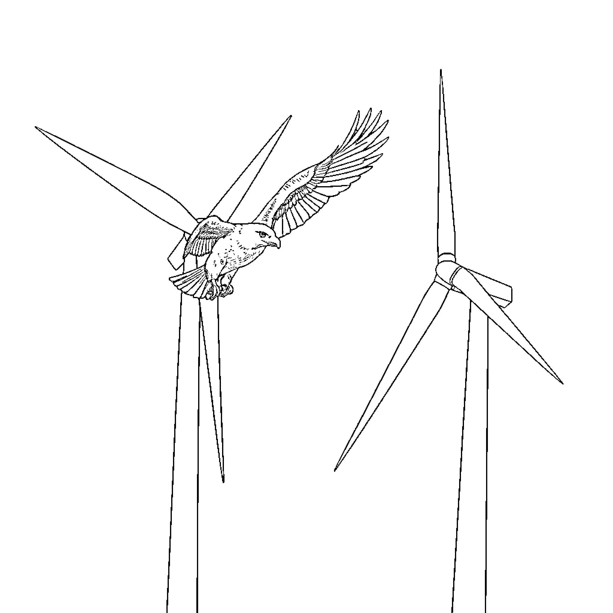 Eagle soaring through wind turbines Coloring Page (free black-and-white line drawing printable PDF for all, from beginners to advanced learners, including children, teens, adults, and seniors)