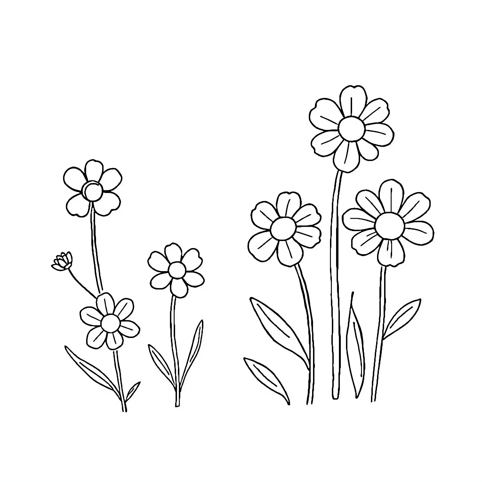 Flower field with blooming daisies Coloring Page (free black-and-white line drawing printable PDF for all, from beginners to advanced learners, including children, teens, adults, and seniors)