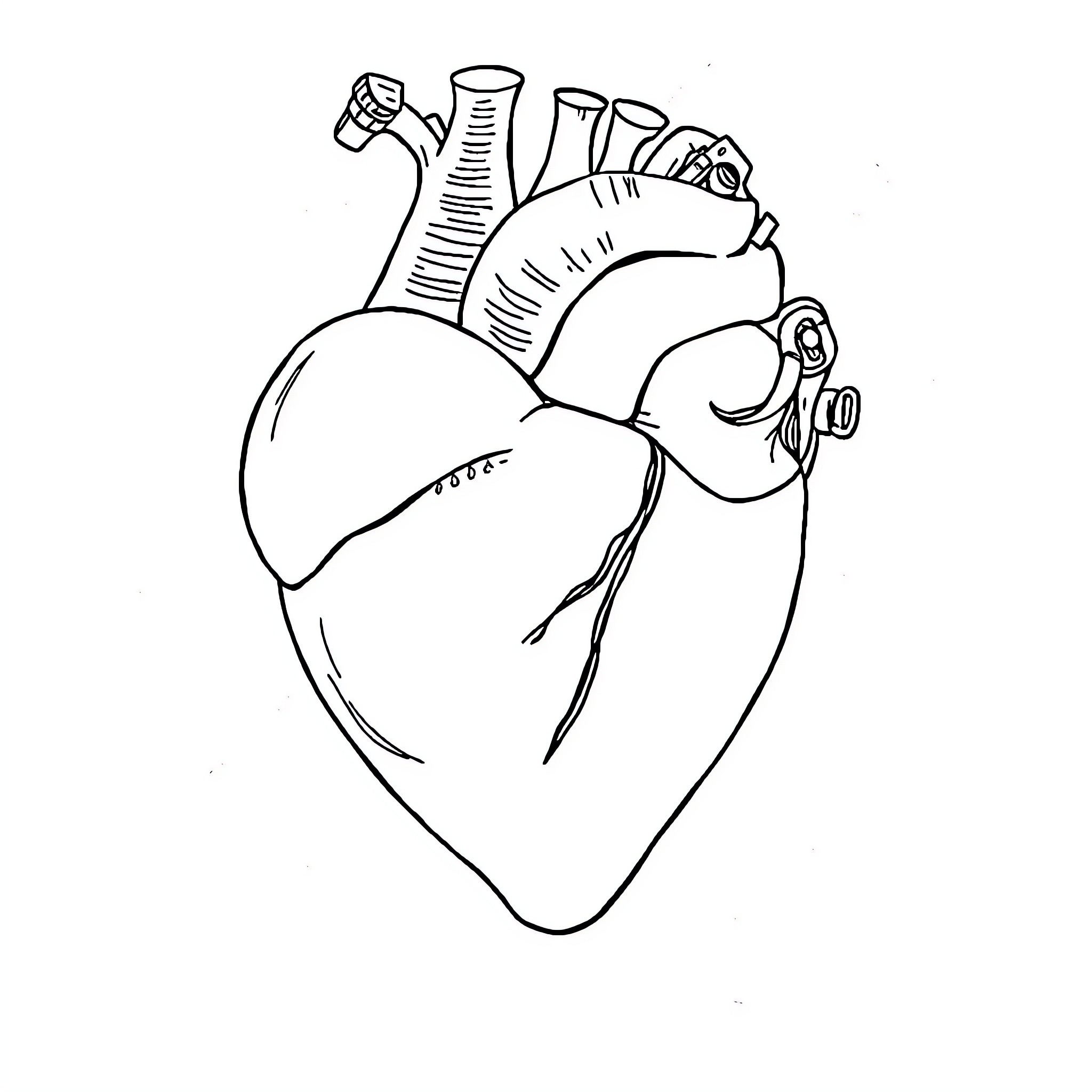 Heart of medical science Coloring Page (free black-and-white line drawing printable PDF for all, from beginners to advanced learners, including children, teens, adults, and seniors)