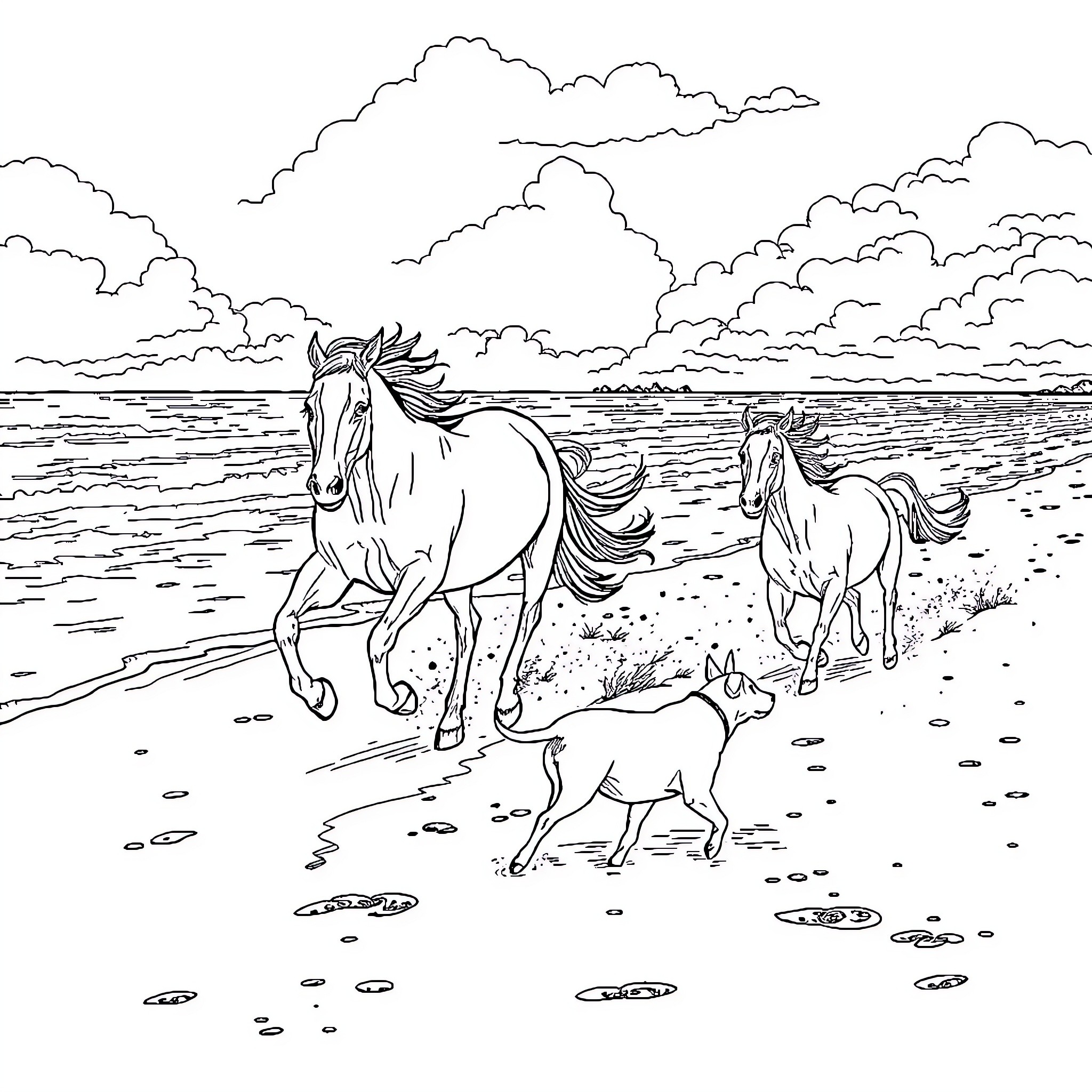 Horses galloping on the beach Coloring Page (free black-and-white line drawing printable PDF for all, from beginners to advanced learners, including children, teens, adults, and seniors)