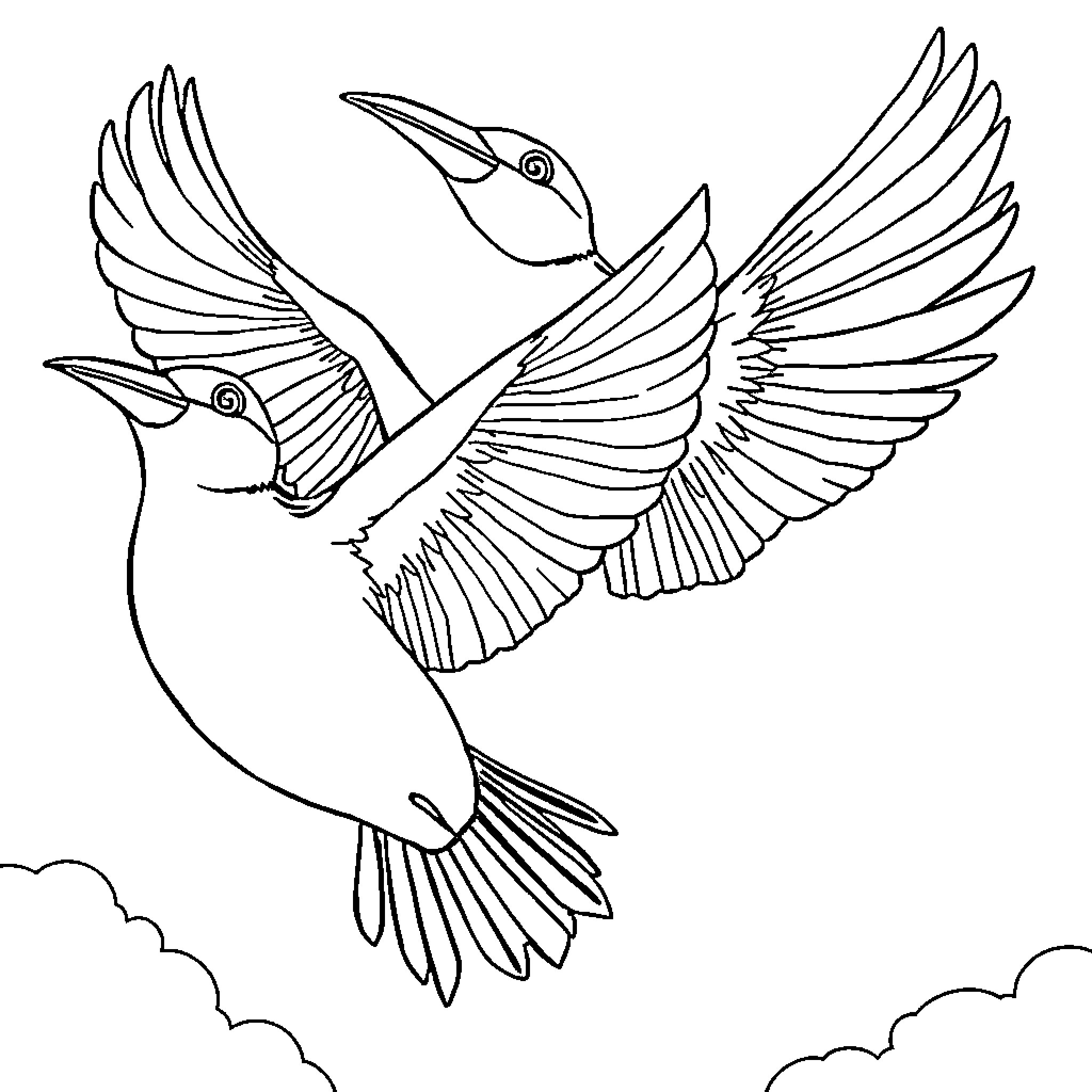 Penguins soaring through the sky Coloring Page (free black-and-white line drawing printable PDF for all, from beginners to advanced learners, including children, teens, adults, and seniors)