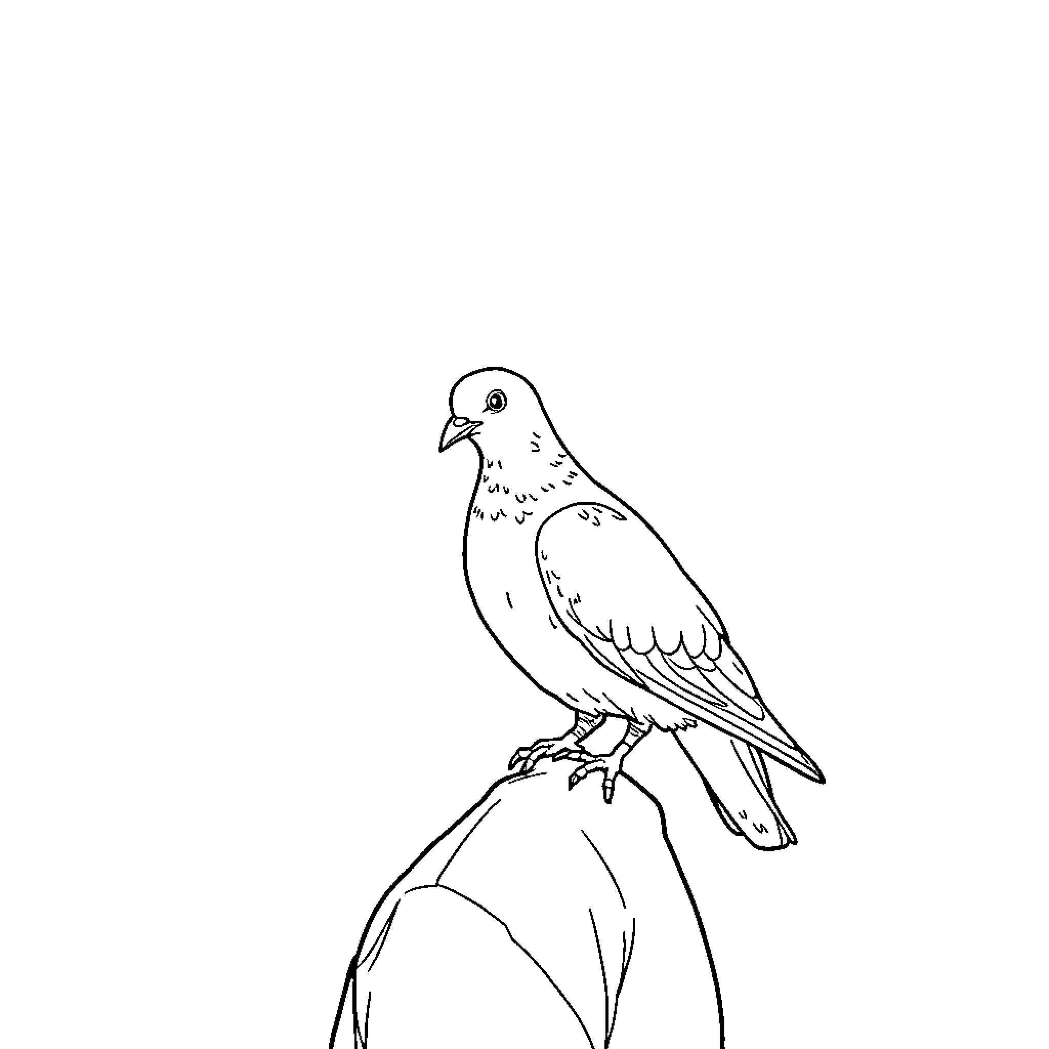 Pigeon perched on branch with simple outline Coloring Page (free black-and-white line drawing printable PDF for all, from beginners to advanced learners, including children, teens, adults, and seniors)