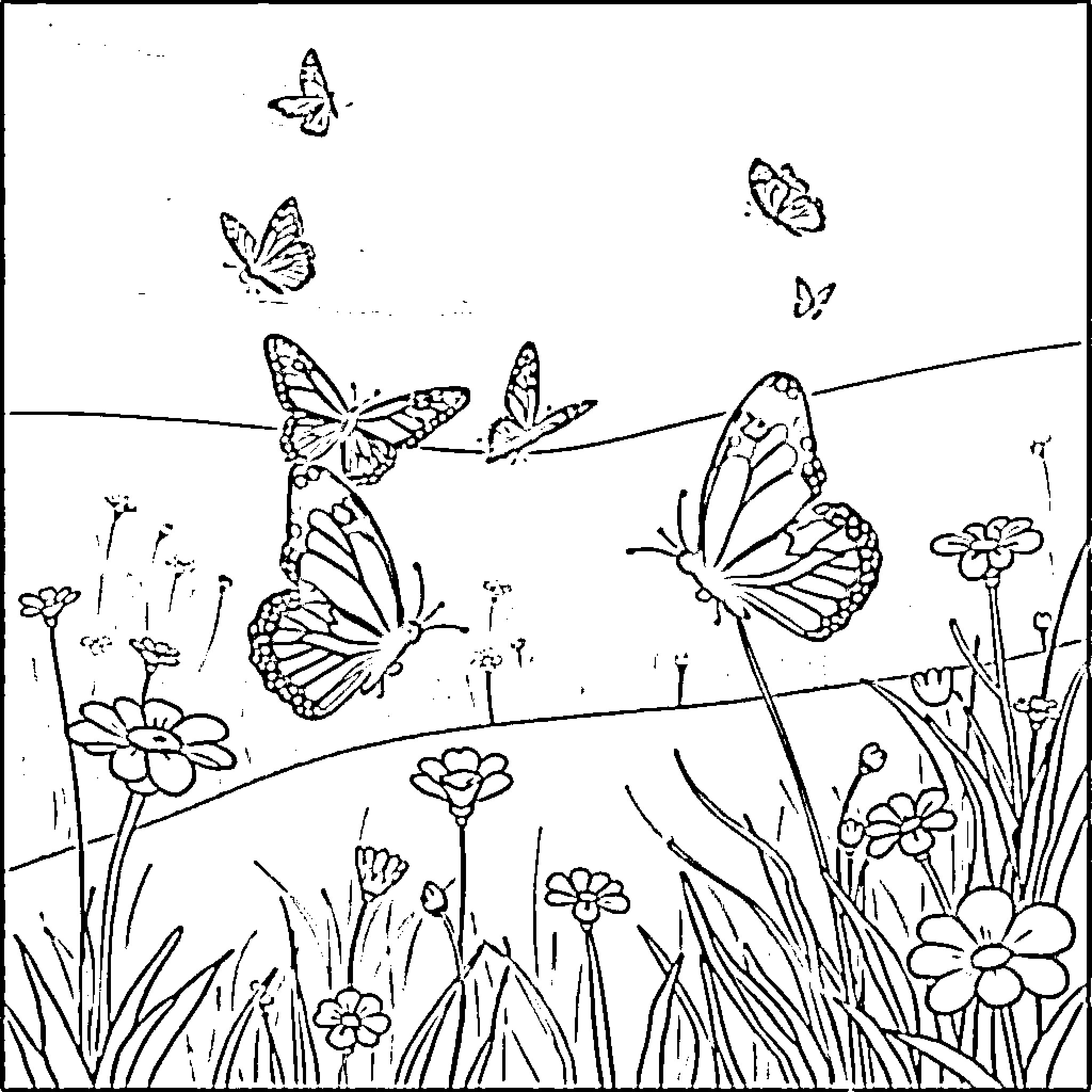 Butterfly Meadow with Fluttering Butterflies Coloring Page (free black-and-white line drawing printable PDF for all, from beginners to advanced learners, including children, teens, adults, and seniors)
