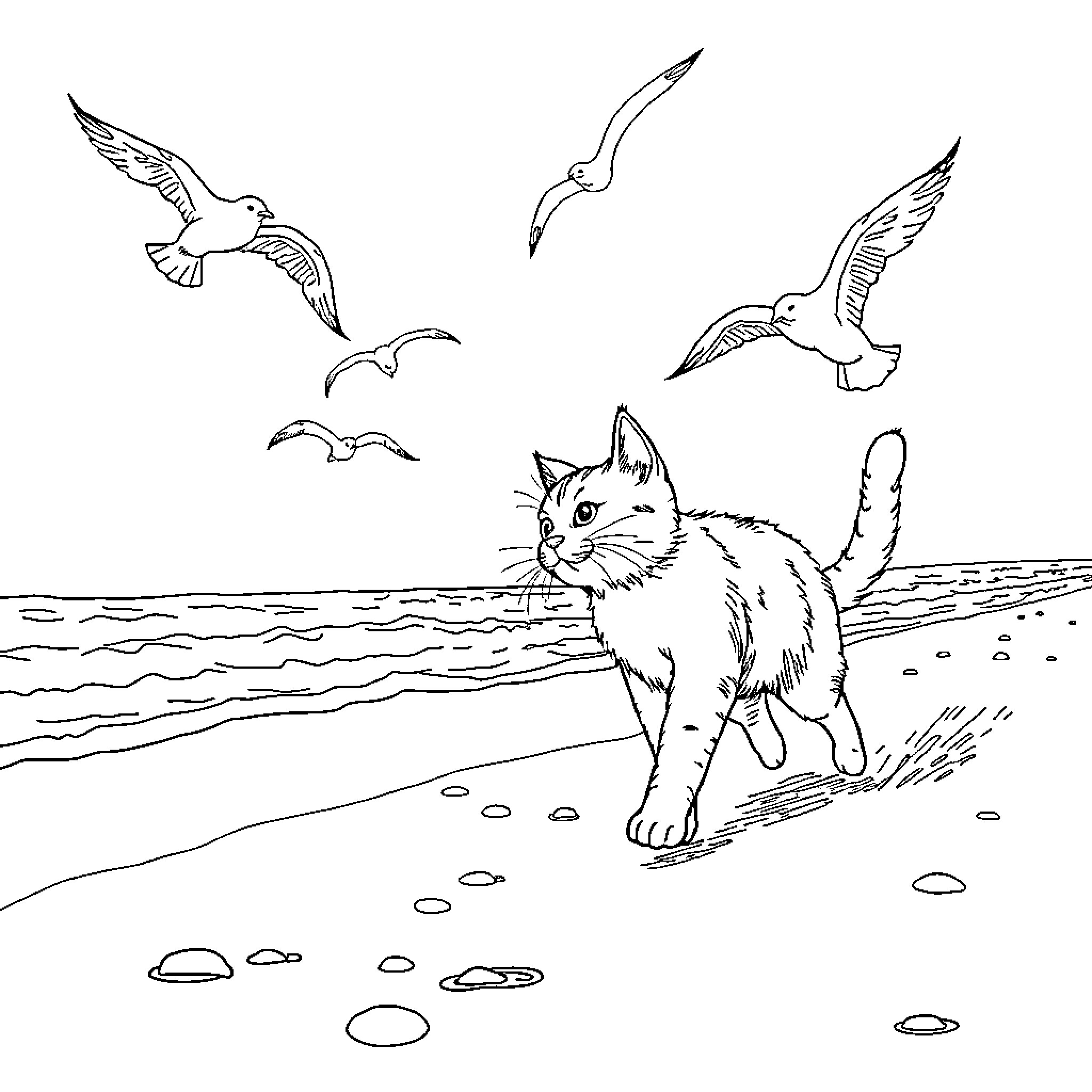 Cat exploring peaceful coastal scenery with seabirds Coloring Page (free black-and-white line drawing printable PDF for all, from beginners to advanced learners, including children, teens, adults, and seniors)