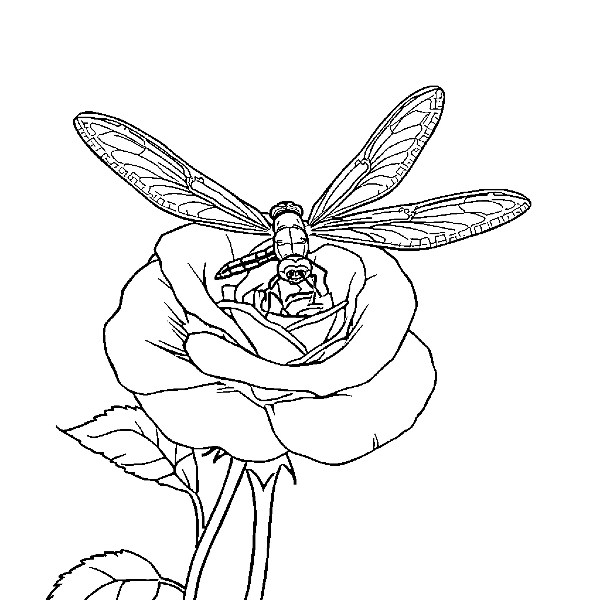 Dragonfly resting on a delicate rose Coloring Page (free black-and-white line drawing printable PDF for all, from beginners to advanced learners, including children, teens, adults, and seniors)