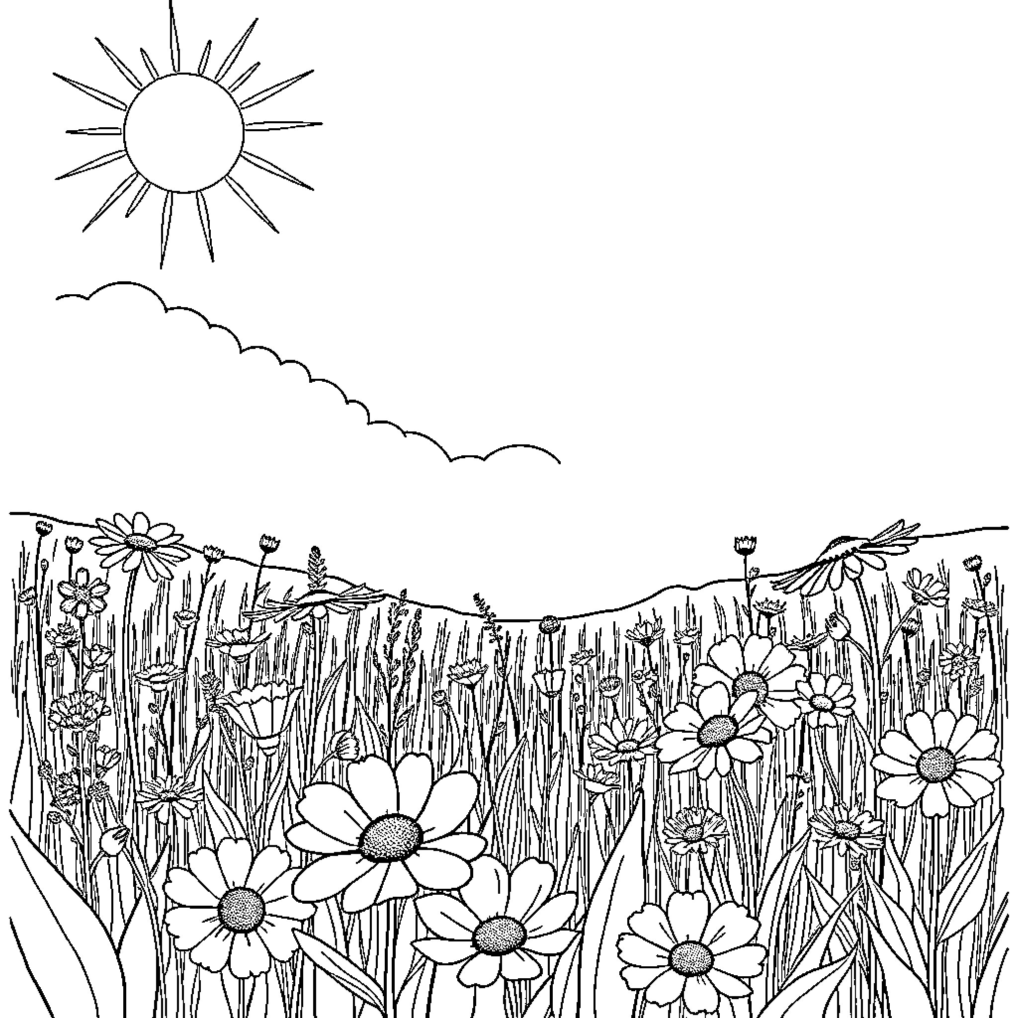 Wildflower meadow in the sunlight Coloring Page (free black-and-white line drawing printable PDF for all, from beginners to advanced learners, including children, teens, adults, and seniors)