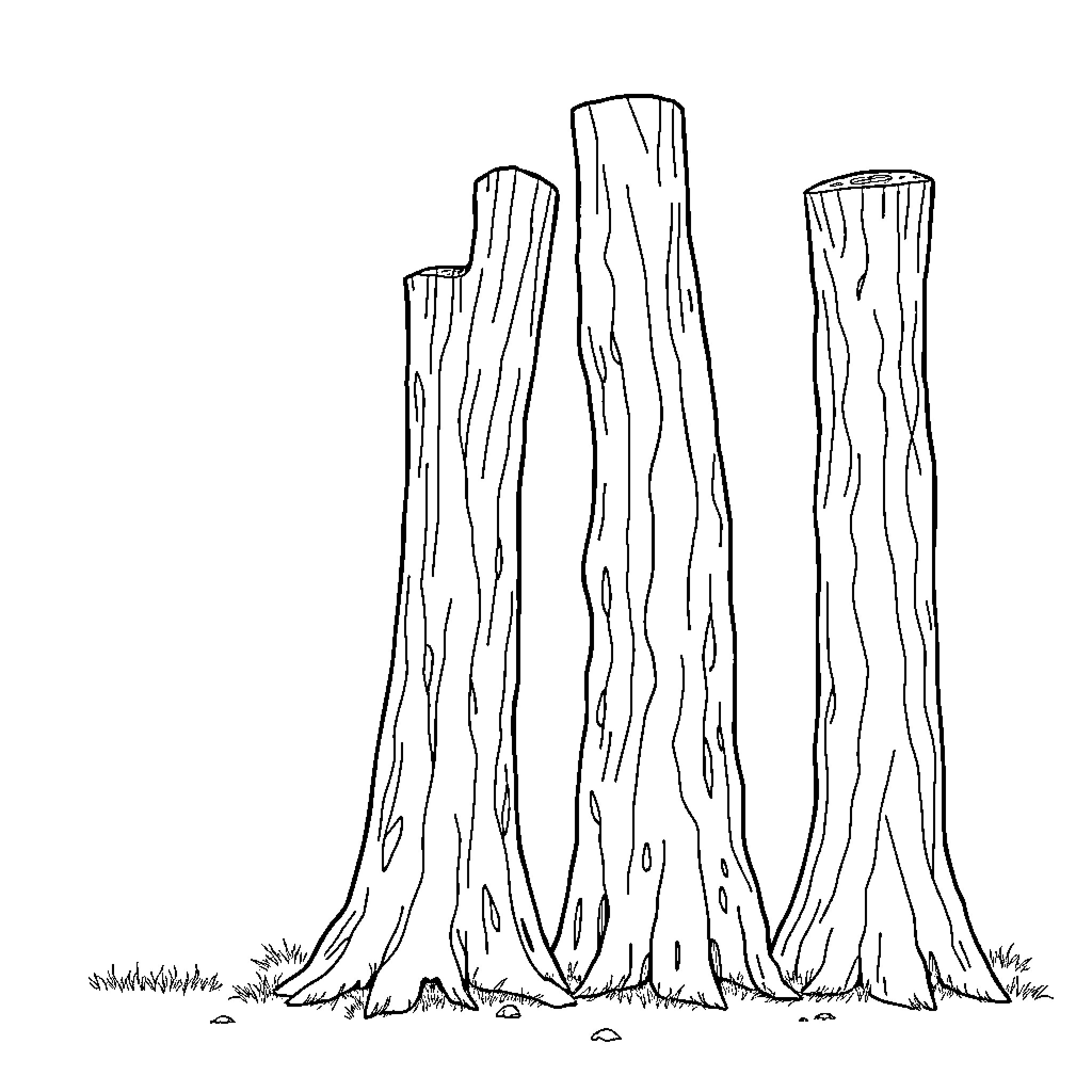 Tree Trunk Silhouettes Rising Tall Coloring Page (free black-and-white line drawing printable PDF for all, from beginners to advanced learners, including children, teens, adults, and seniors)