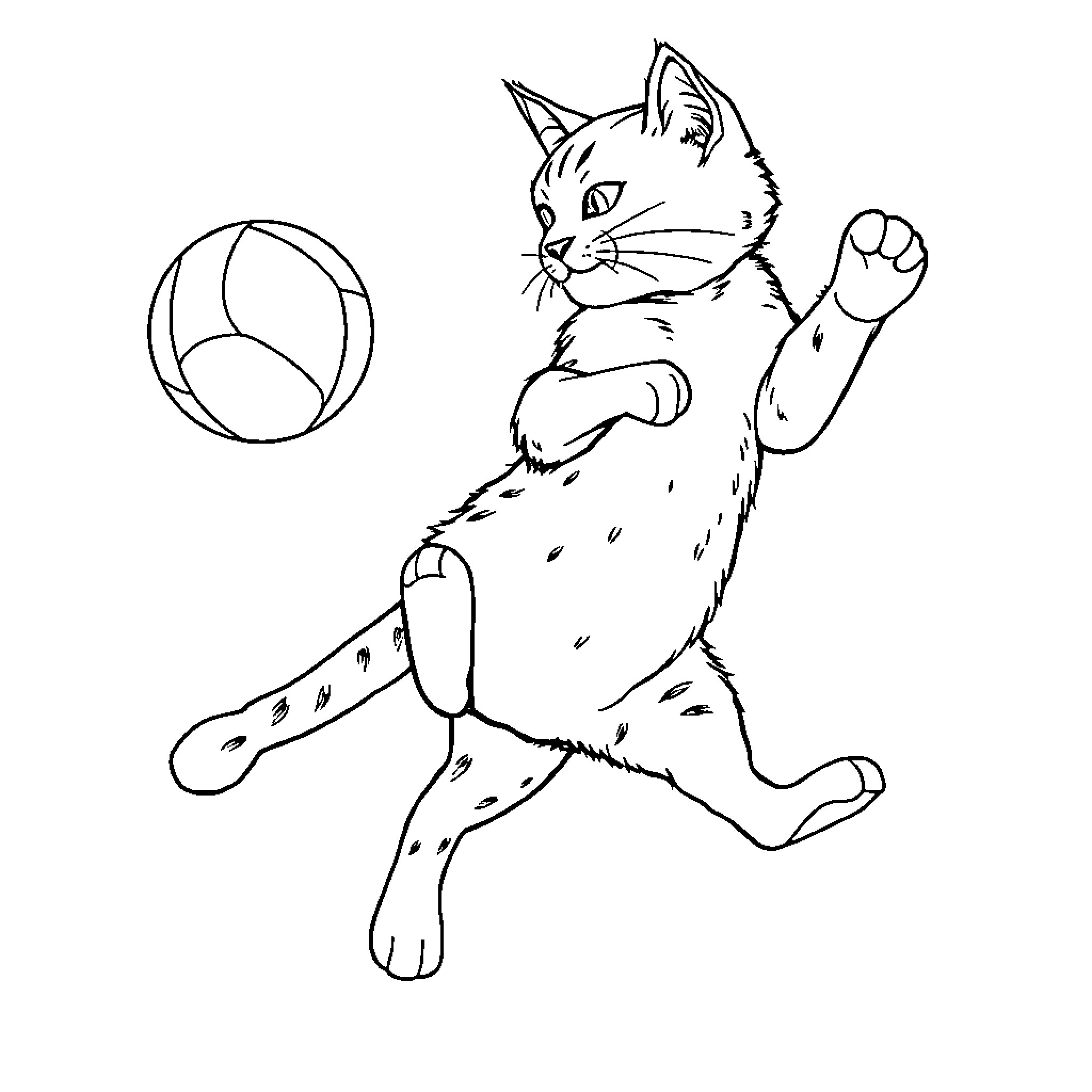 Cat playing with a ball Coloring Page (free black-and-white line drawing printable PDF for all, from beginners to advanced learners, including children, teens, adults, and seniors)