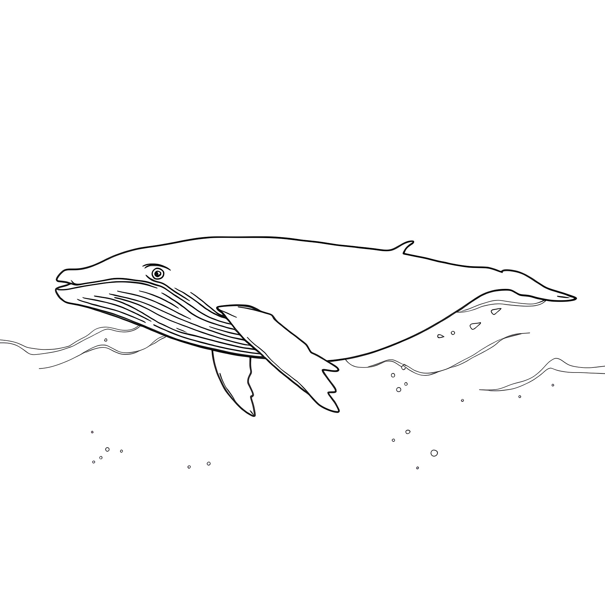 Whale swimming gracefully underwater Coloring Page (free black-and-white line drawing printable PDF for all, from beginners to advanced learners, including children, teens, adults, and seniors)