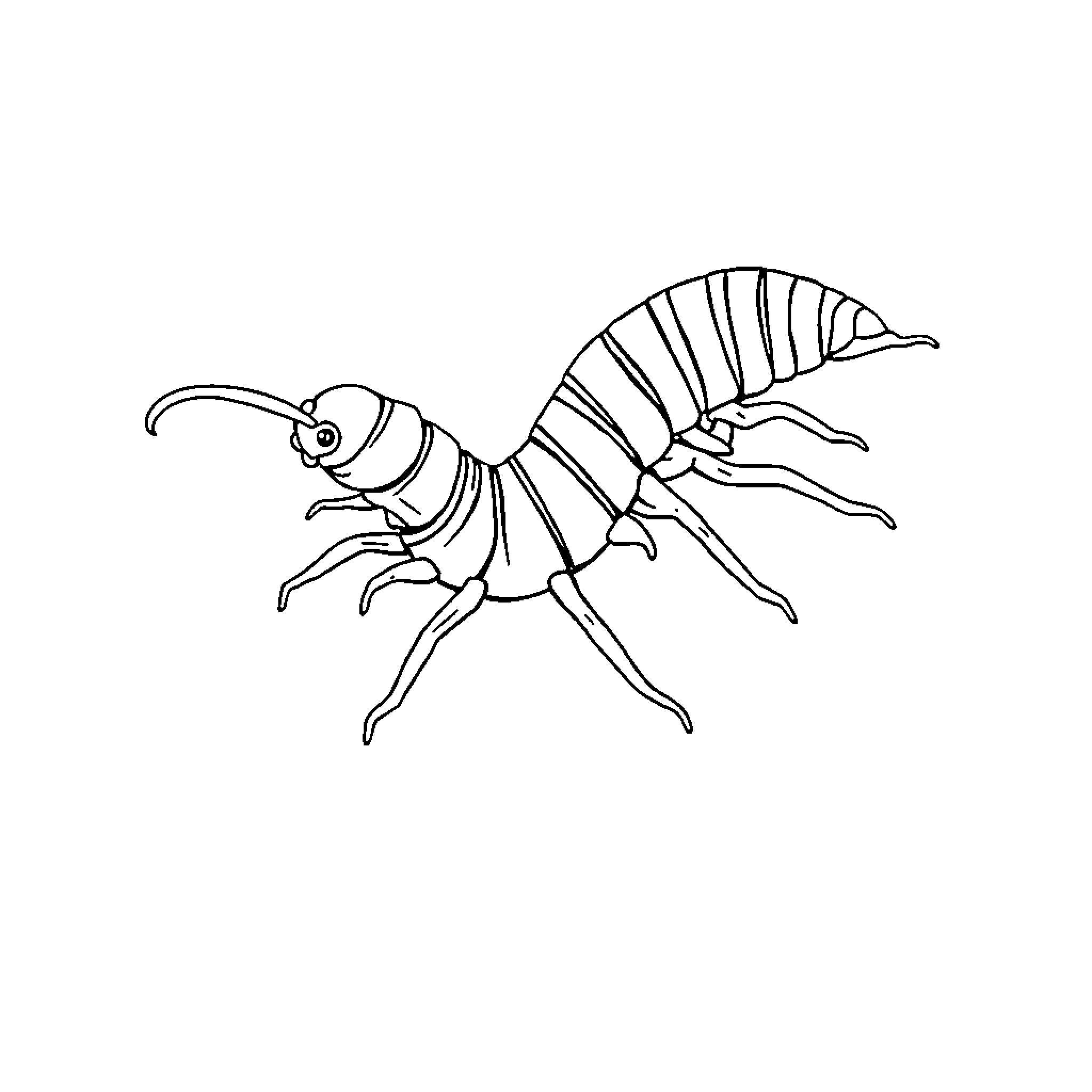 Millipede with distinctive segmented body Coloring Page (free black-and-white line drawing printable PDF for all, from beginners to advanced learners, including children, teens, adults, and seniors)