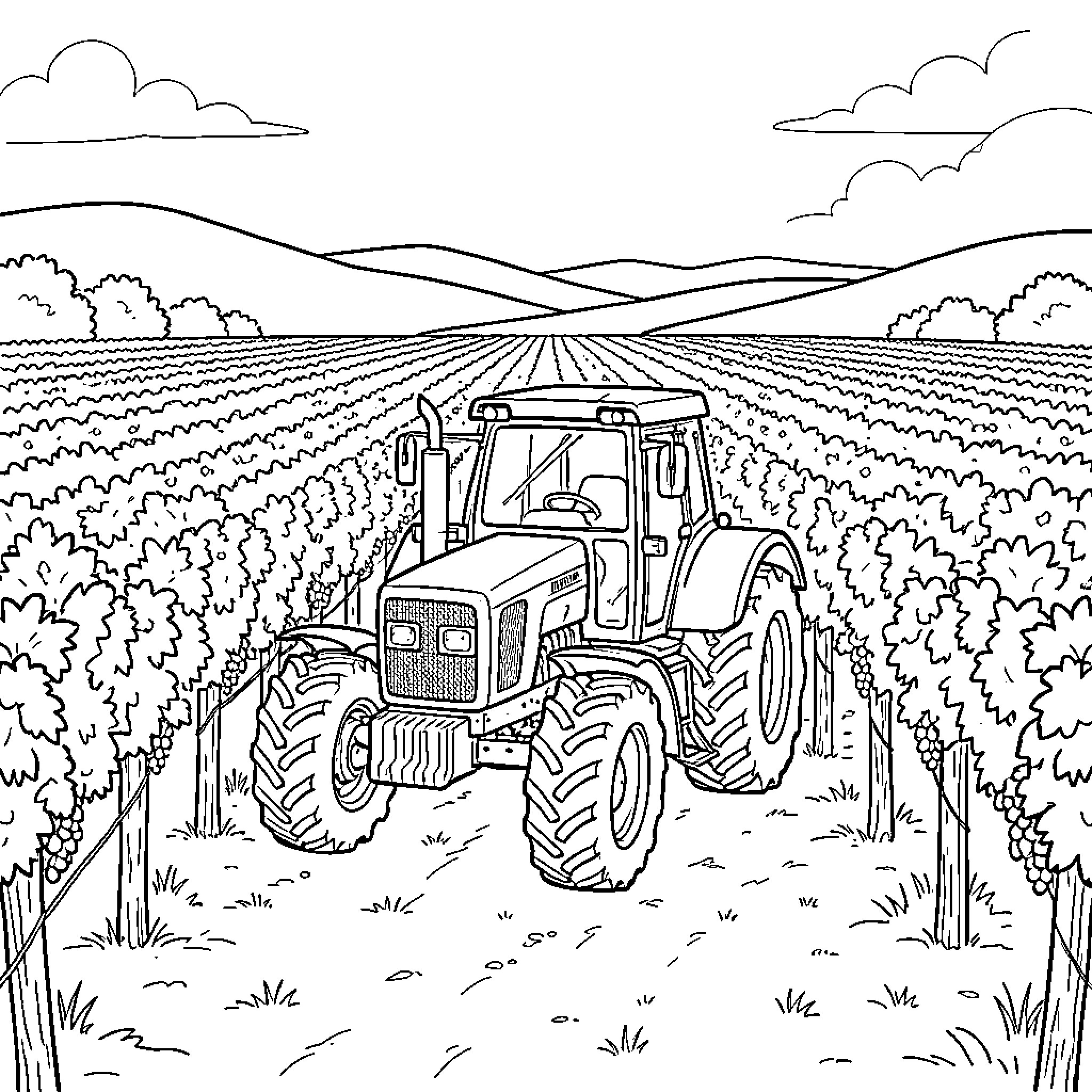 Tractor driving through rows of a vineyard Coloring Page (free black-and-white line drawing printable PDF for all, from beginners to advanced learners, including children, teens, adults, and seniors)