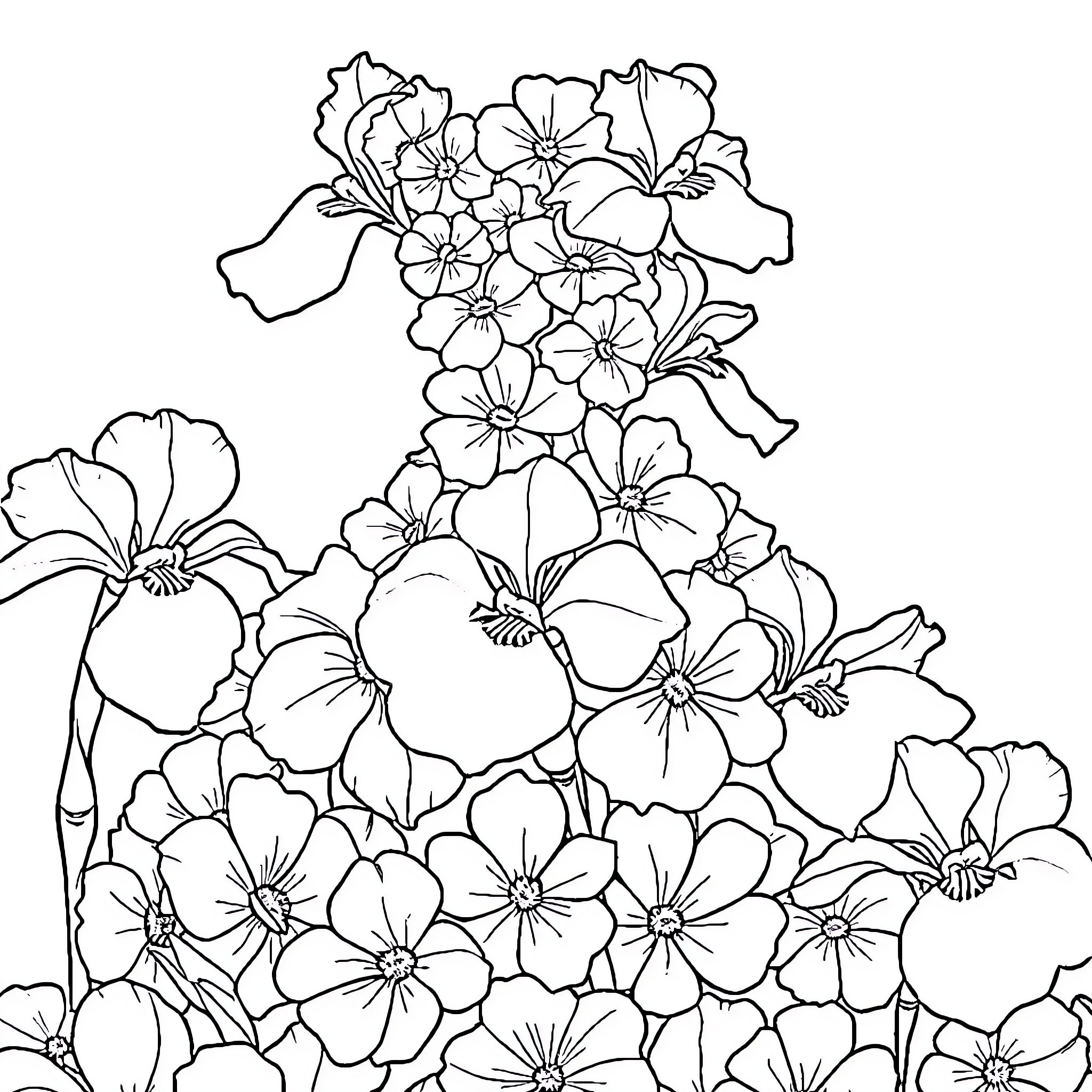 Iris Floral Bouquet Illustration Coloring Page (free black-and-white line drawing printable PDF for all, from beginners to advanced learners, including children, teens, adults, and seniors)