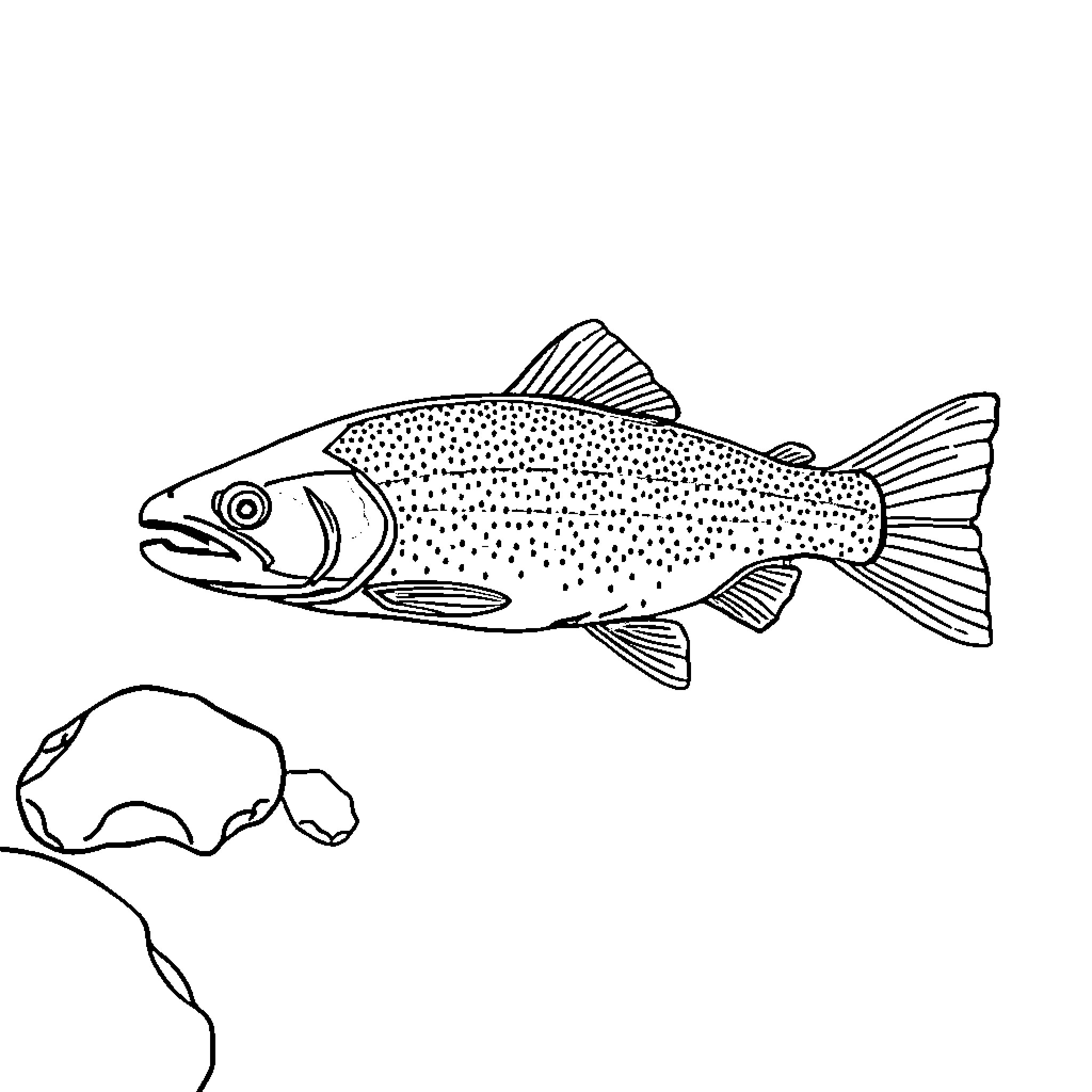 Rainbow Trout swimming in river Coloring Page (free black-and-white line drawing printable PDF for all, from beginners to advanced learners, including children, teens, adults, and seniors)