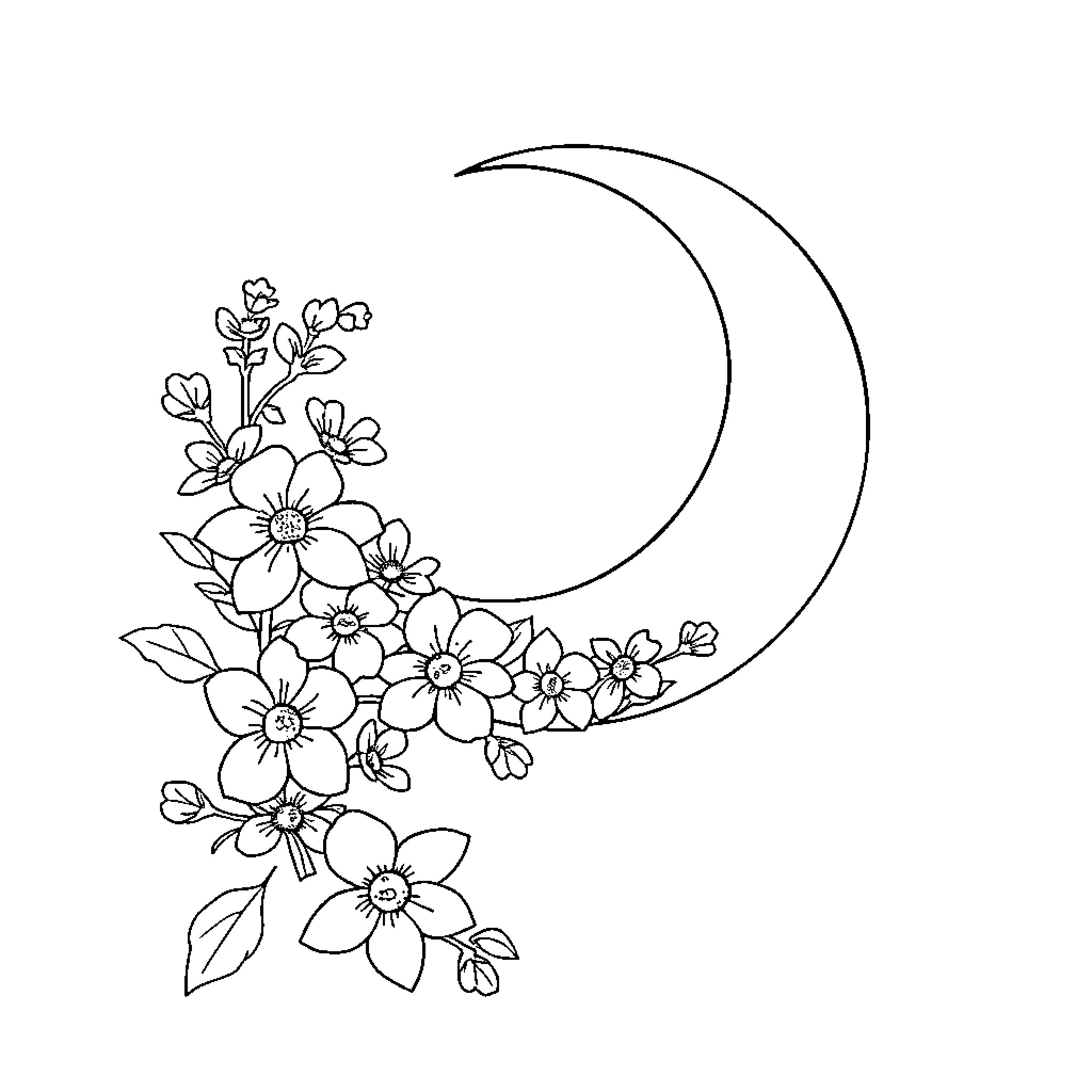 Moon flowers in delicate bloom Coloring Page (free black-and-white line drawing printable PDF for all, from beginners to advanced learners, including children, teens, adults, and seniors)