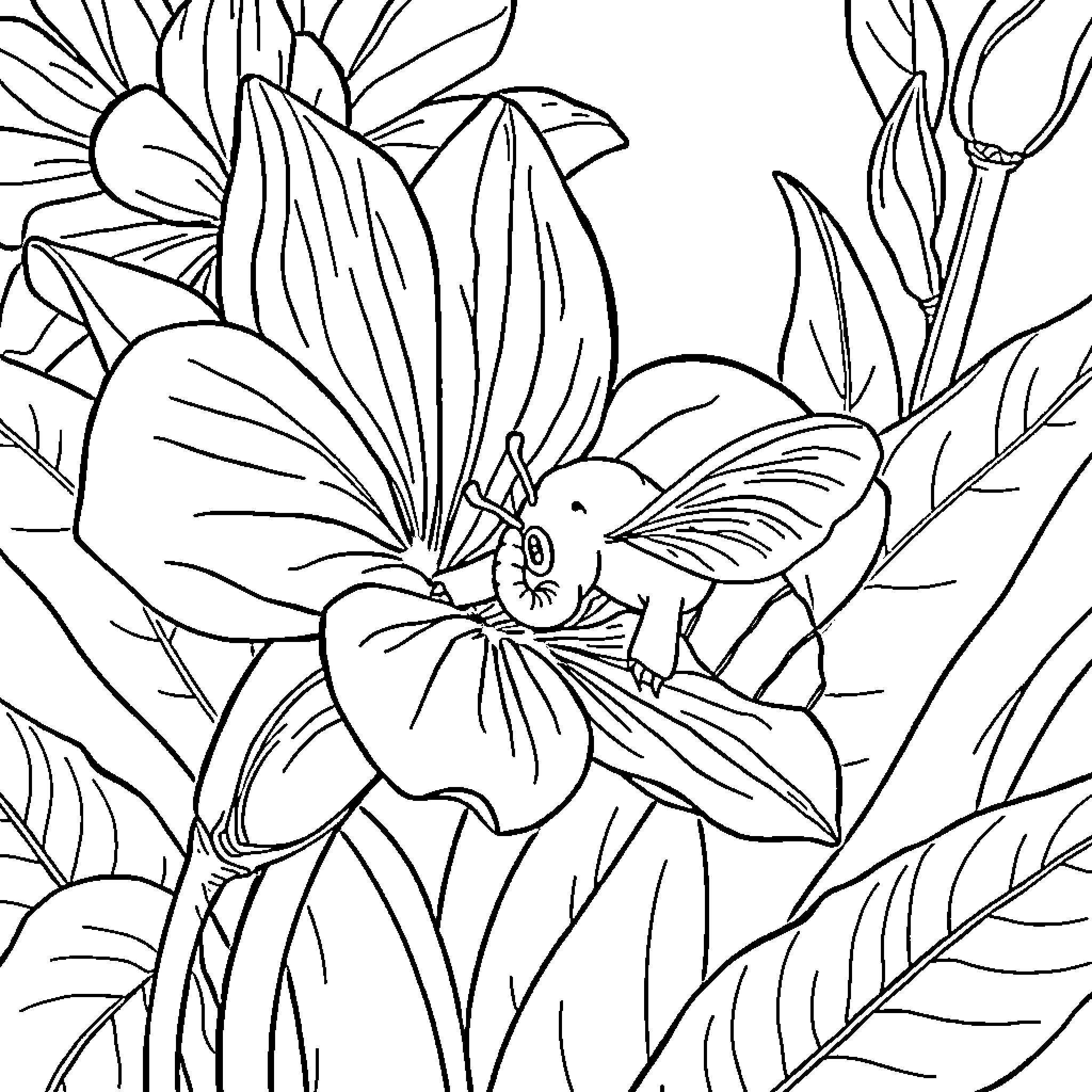 Flower Nature Scene with Intricate Botanical Details Coloring Page (free black-and-white line drawing printable PDF for all, from beginners to advanced learners, including children, teens, adults, and seniors)
