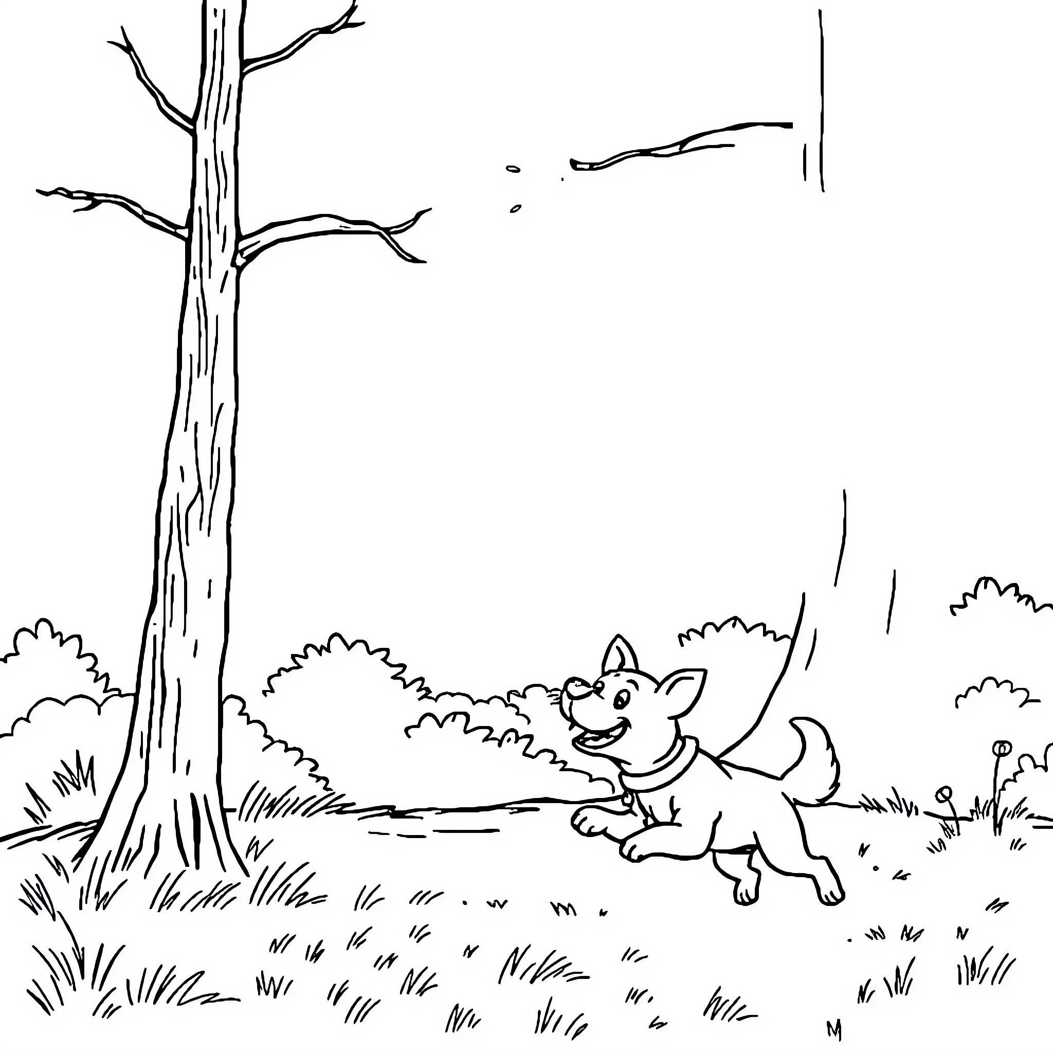 Dog running playfully in forest Coloring Page (free black-and-white line drawing printable PDF for all, from beginners to advanced learners, including children, teens, adults, and seniors)
