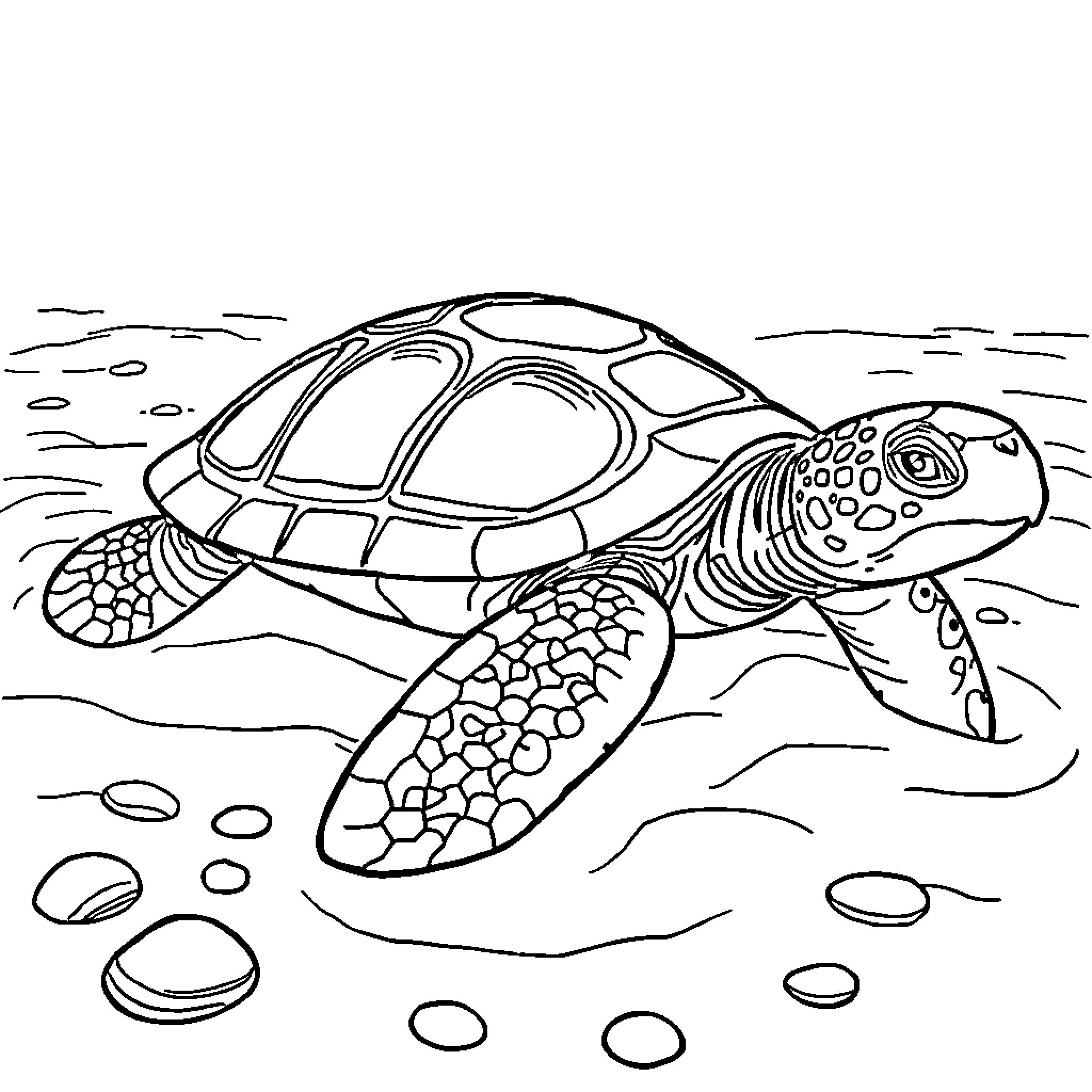 Turtle swimming gracefully in the ocean Coloring Page (free black-and-white line drawing printable PDF for all, from beginners to advanced learners, including children, teens, adults, and seniors)