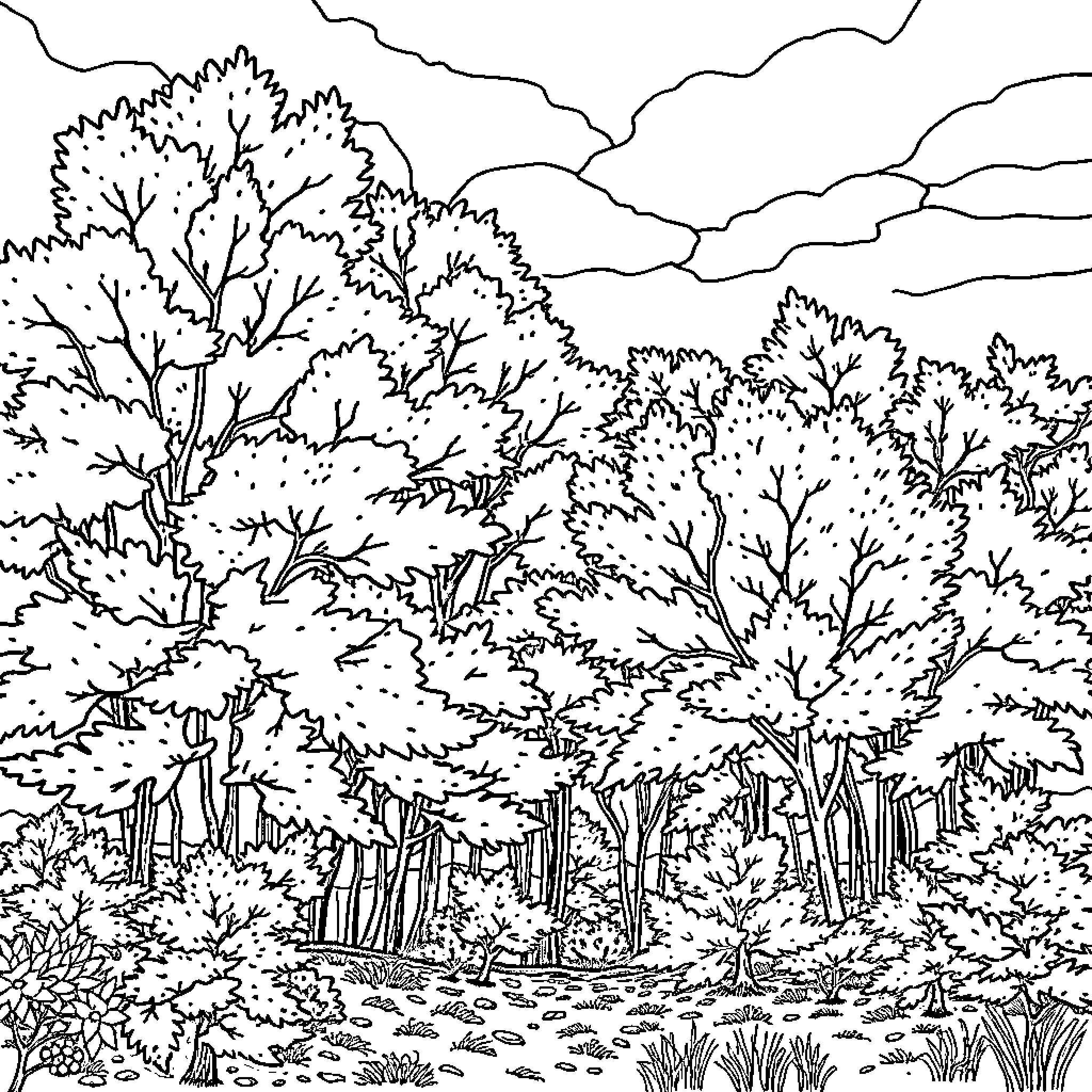 Minnesota winter landscape with bare trees and clouds Coloring Page (free black-and-white line drawing printable PDF for all, from beginners to advanced learners, including children, teens, adults, and seniors)