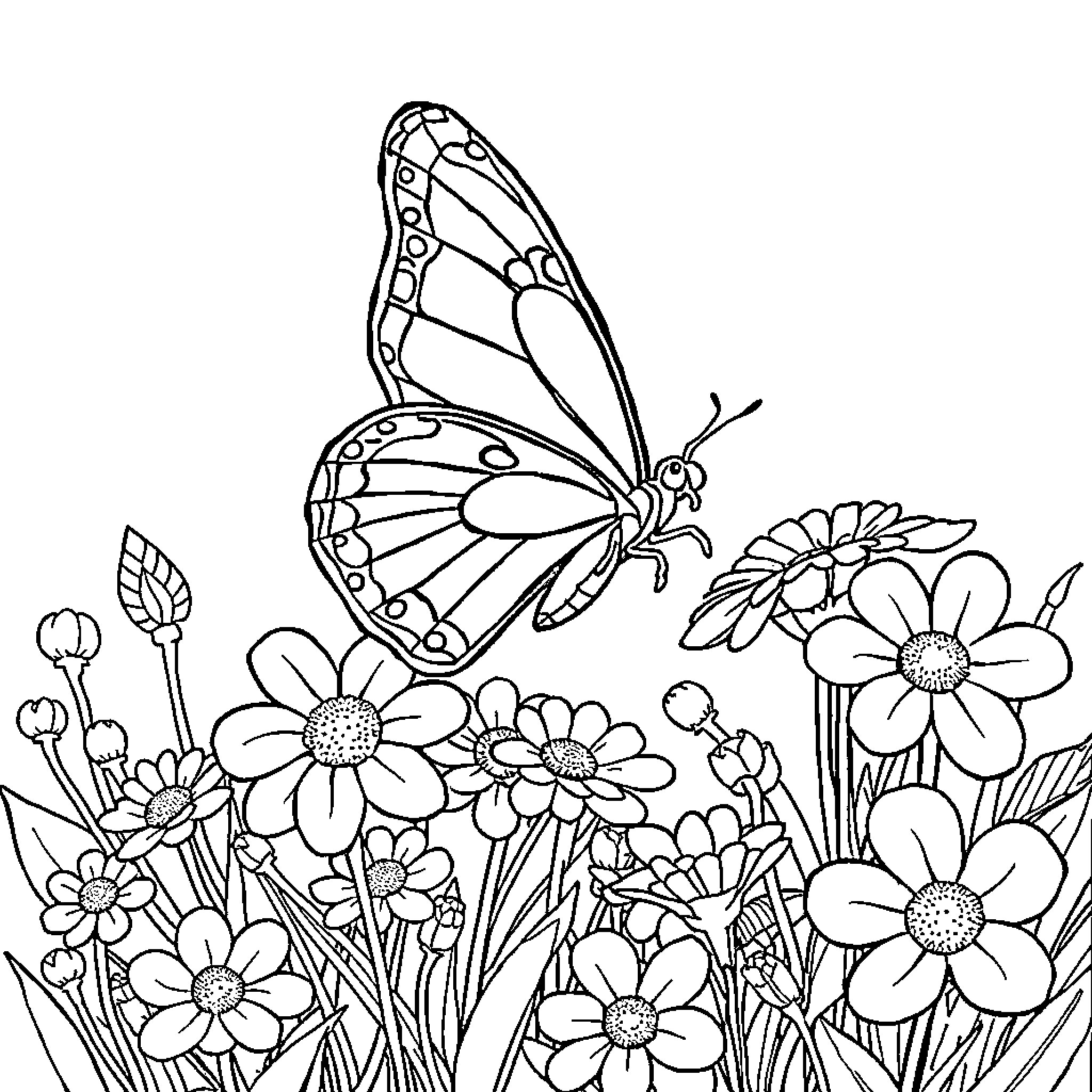 Butterfly gracefully among blooming flowers Coloring Page (free black-and-white line drawing printable PDF for all, from beginners to advanced learners, including children, teens, adults, and seniors)